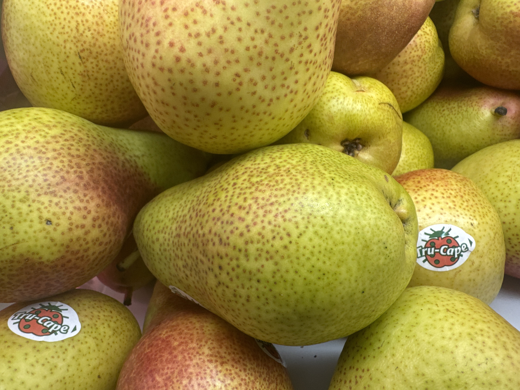 This media file displays a close-up, overhead view of a pile of ripe pears. The pears are predominantly yellow-green with speckled red blush. Several pears have "Tru-Cape" stickers on them, which feature a ladybug graphic and red lettering. The background is a continuation of the pile of pears, suggesting they are in a market or grocery store display. The lighting appears bright and even, indicative of an indoor setting. There are no people visible in the frame, and the focus is entirely on the fruit. The image is still and does not capture any ongoing activity. The pears themselves appear fresh and ready for consumption. There are no discernible time of day or weather cues. The "Tru-Cape" sticker suggests a commercial origin, and the context of a pile of fruit points to a retail or wholesale environment.