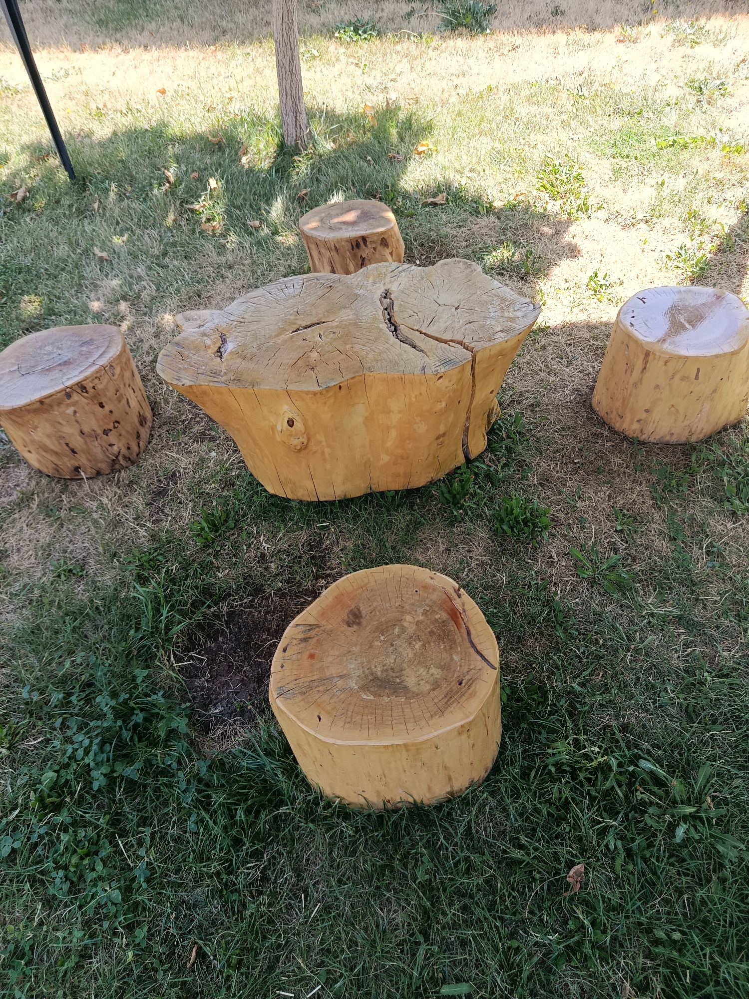 In Garni, Armenia, an outdoor seating area is depicted. The scene features a collection of five natural wood stumps arranged on a grassy ground. One large, flattened stump serves as a table in the center, surrounded by four smaller, cylindrical stumps that function as seats. The stumps are various shades of light brown and show visible wood grain and natural imperfections. The ground is covered in a mix of green grass and dry patches, with some fallen leaves scattered about. Sunlight casts shadows on the ground, indicating an outdoor setting on a bright day. The overall impression is a rustic and organic arrangement for outdoor relaxation.