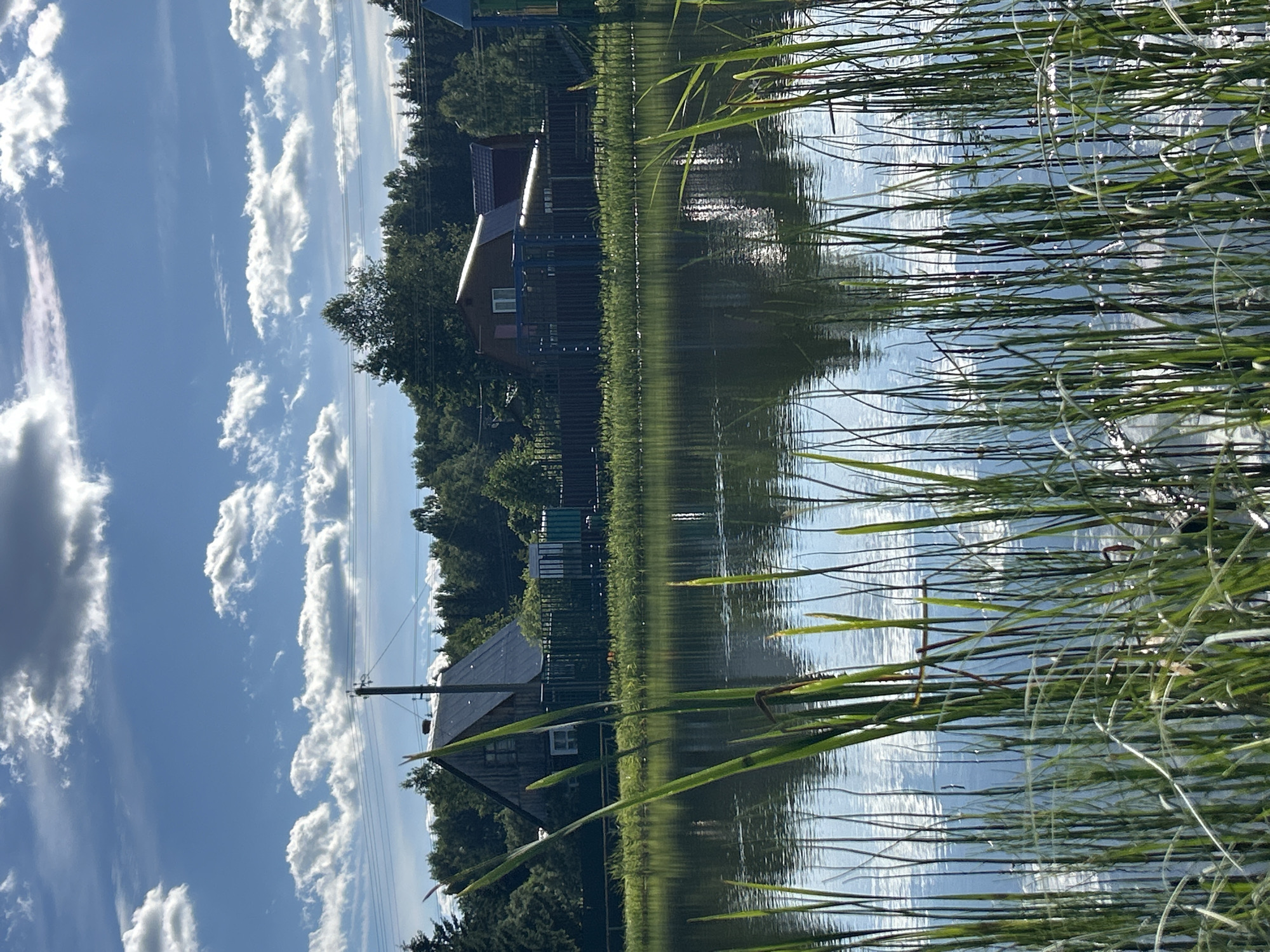 The image depicts a serene natural scene with a body of water in the foreground and a wooded area with houses in the background. Tall, green reeds or cattails line the edge of the water, their reflections visible on the still surface. Beyond the reeds, a dark fence runs along the perimeter of the property. Several houses with dark roofs are nestled amongst a dense forest of green trees. The sky is a vibrant blue with scattered white, fluffy clouds. The overall impression is one of a peaceful rural or suburban setting, likely in the countryside. The location is identified as Слава Снт, Russia.