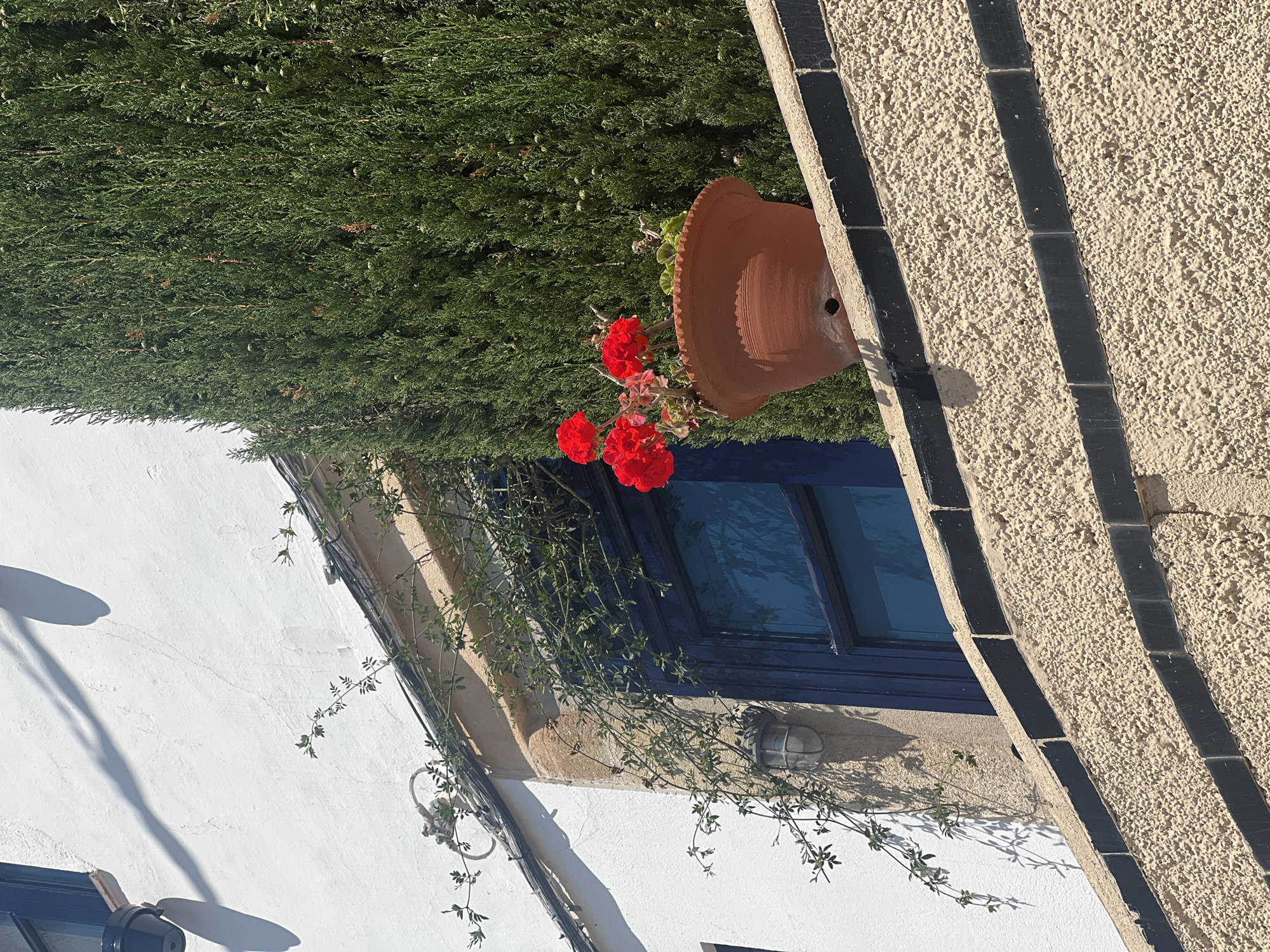 A terracotta flower pot with red geraniums hangs next to a window with a dark blue frame. The window is set in a building with white and textured beige walls. Black tiles decorate the beige wall. Green plants are above and trailing from the window. Based on the location mentioned, this scene is likely found in Sant Pol De Mar, Spain. The photo is taken in bright daylight.