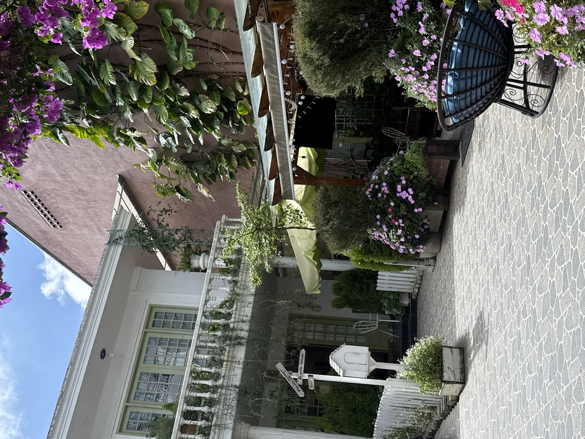 This detailed image captures an outdoor commercial or residential space located in Cam Ly - Đà Lạt, Vietnam, under clear blue skies with scattered white clouds. The scene features a paved courtyard with grey, irregular flagstone-patterned tiles leading towards two distinct architectural structures.
On the left, a two-story white building with green-trimmed windows and a balcony is prominently displayed. The upper floor's balcony features a white balustrade, with a light fixture suspended above the window. The ground floor presents a welcoming porch with white columns supporting an overhang, from which delicate vines cascade. A white picket fence frames the immediate foreground of this building, with neatly trimmed green shrubs behind it. A white directional signpost stands on the left, displaying "Pin-lien Chi" and "La petite maison" on its arrows, alongside a small white mailbox. A white metal chair is visible on the porch.
To the right, a reddish-pink textured wall is covered with lush green climbing vines and vibrant purple bougainvillea flowers. Below this wall, an outdoor seating area is visible, partially covered by a light green awning and a darker fabric canopy, both supported by wooden structures. String lights are strung beneath the canopy, and a dark television screen is mounted in the area. Abundant green bushes and large planters filled with purple and pink flowers frame this space, including a prominent dark wicker-style chair with blue cushions in the immediate right foreground. No individuals are present in the image.