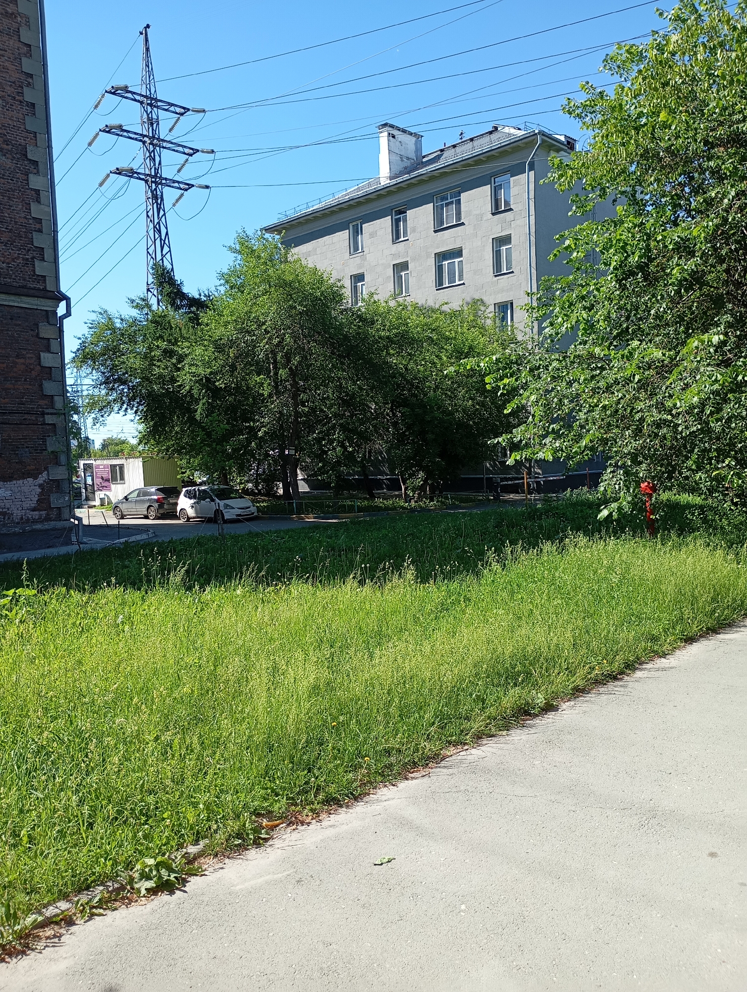 The image shows a residential building in Novosibirsk, Russia, on a clear day. A large electricity pylon with multiple power lines stands to the left of the frame, near a brick building. In front of a gray, multi-story building, two cars are parked on a paved area. A vibrant green lawn with tall grass and some dandelions occupies the foreground, bordering a concrete walkway. A red fire hydrant is partially visible amidst the trees on the right side of the image. The overall scene depicts a typical urban environment with infrastructure and residential elements.