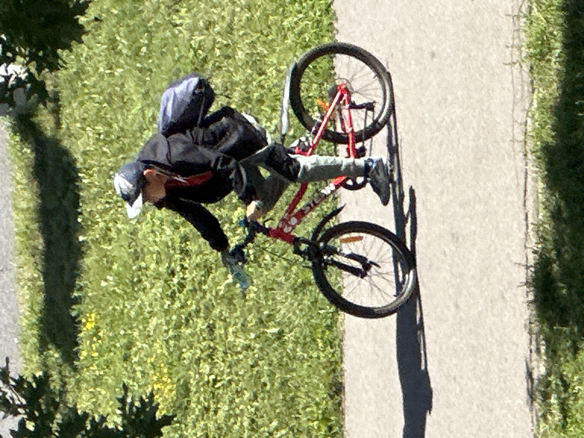 A young person wearing a black jacket, grey pants, and a baseball cap is riding a red bicycle on a paved path. The bicycle has black tires and a silver fender. The person is carrying a dark blue backpack. The background consists of green grass and trees with some yellow flowers scattered in the grass. The scene appears to be outdoors in a park or residential area.
