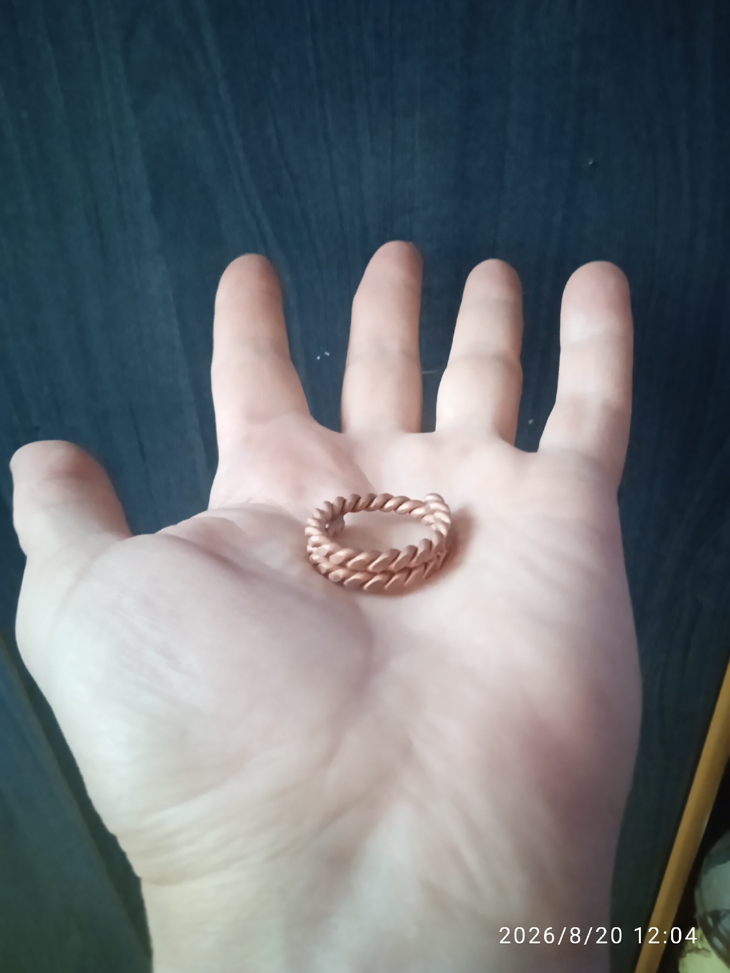 A close-up, overhead shot shows a person's open palm, which is lightly tanned. Resting in the center of the palm is a small, intricately braided, copper-colored ring. The background is a dark, textured surface, possibly wood, with vertical grain. The lighting is dim, casting subtle shadows on the hand. A date stamp of "2026/8/20 12:04" is visible in the bottom right corner.