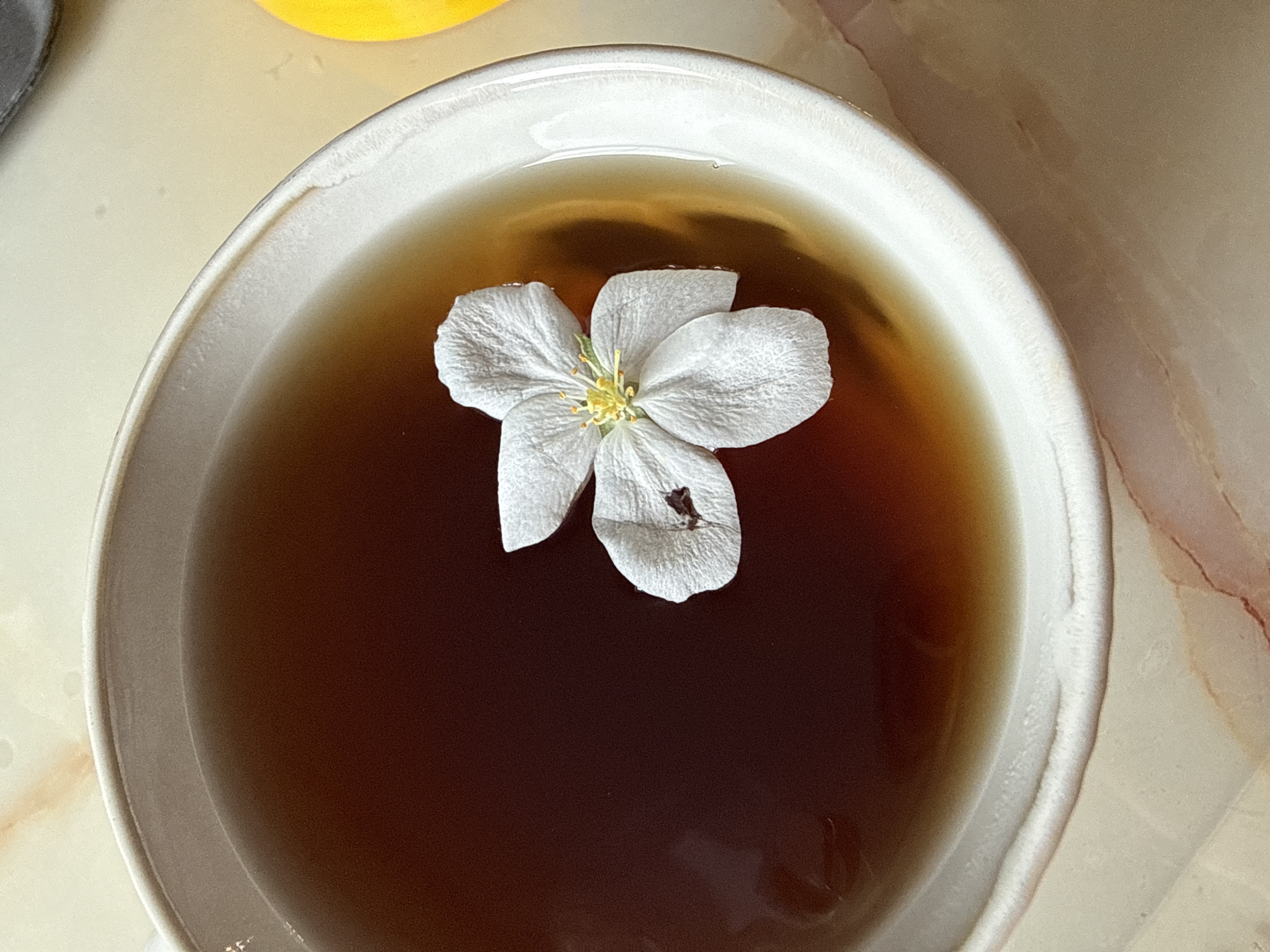 A close-up overhead shot depicts a white, five-petaled flower floating in a light-colored ceramic bowl filled with dark-brown liquid, likely tea or a similar beverage. The bowl has a textured, irregular rim. The surface underneath the bowl appears to be a light-colored, possibly marble, surface with subtle variations in tone. No people or actions are visible in the image. The location in the city of Dzerzhinsk, Russia is not discernible from the image.