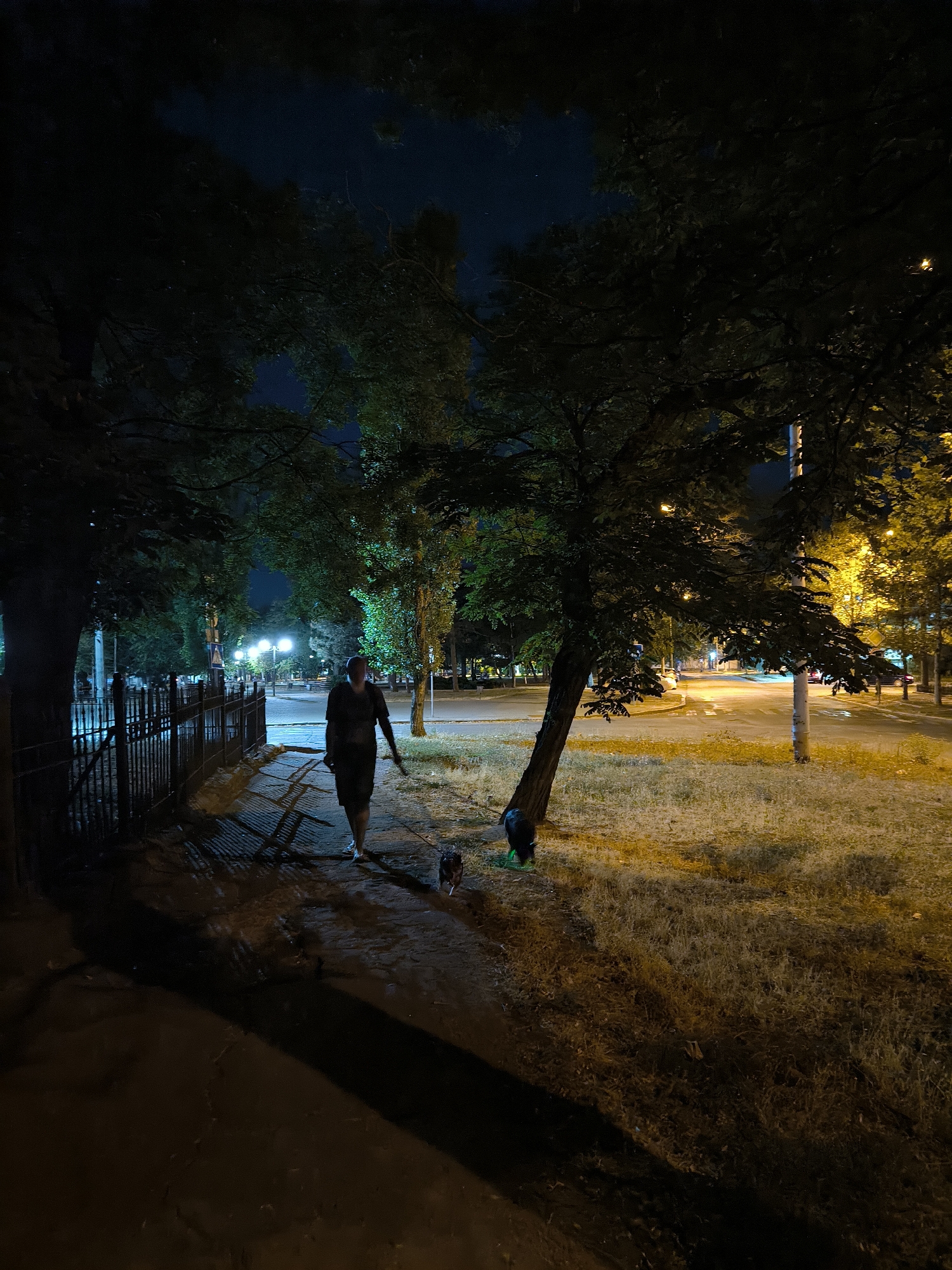 A person is walking a dog at night on a paved sidewalk. The person is wearing a dark t-shirt and shorts. The dog is leashed and appears to be small. The sidewalk is lined with a black metal fence on the left and grass on the right. Trees with dark leaves are overhead and to the right, with some streetlights casting a yellow glow on the grass and road in the background. The sky above is dark with a few visible stars. The location is likely a park or residential street in Mykolaiv, Ukraine, given the presence of trees, sidewalks, and streetlights typical of urban environments.