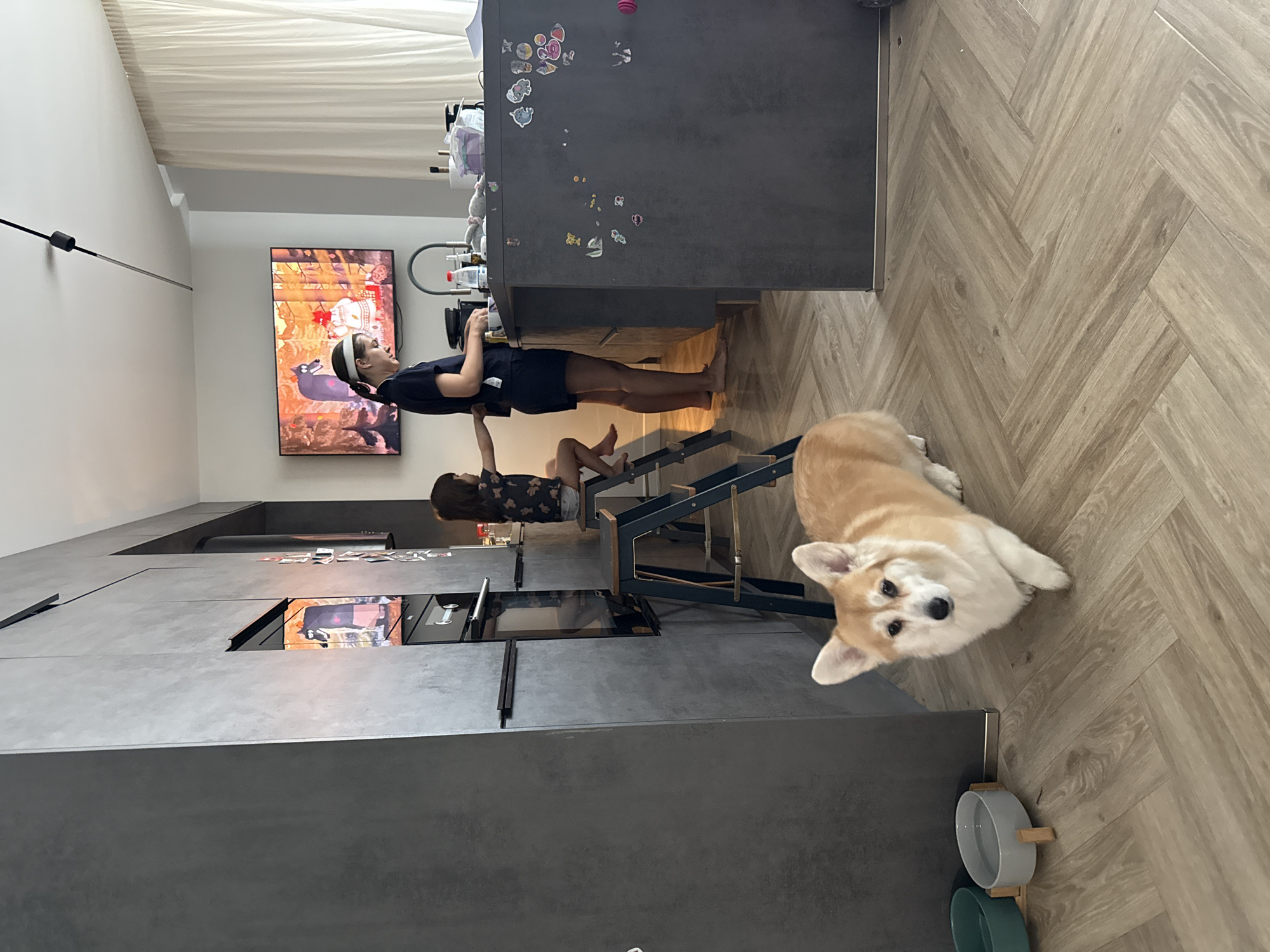 This media file captures an indoor scene, likely a modern kitchen, in Krasnoyarsk, Russia. The image shows a woman, a child, and a dog, engaged in a casual domestic moment.
In the center, a woman with dark hair, wearing a headband, dark top, and shorts, stands at a dark gray kitchen island or counter. She appears to be focused on an activity at the counter, possibly cooking or preparing food. Next to her, a child, wearing a patterned top, sits on a high chair or stool, seemingly observing or assisting. Behind them, a large flat-screen television mounted on the wall displays an animated image, possibly from a show or video game. The kitchen island itself is sleek and modern, with integrated appliances, and a section of its side is decorated with various small stickers.
To the right, a light brown and white corgi dog is resting on the light wood-look floor, which features a herringbone pattern, and looks directly towards the camera with a calm expression. Further to the right, near the floor and the kitchen island, two pet bowls (one gray with water, one teal) are visible on a wooden stand. The room has high ceilings, with a white pleated blind or curtain covering a window in the upper left. A black rod-like fixture extends from the left wall. The scene appears to be taking place during the daytime, indicated by the general brightness, creating a domestic and relaxed atmosphere. No explicit text is clearly legible within the image.