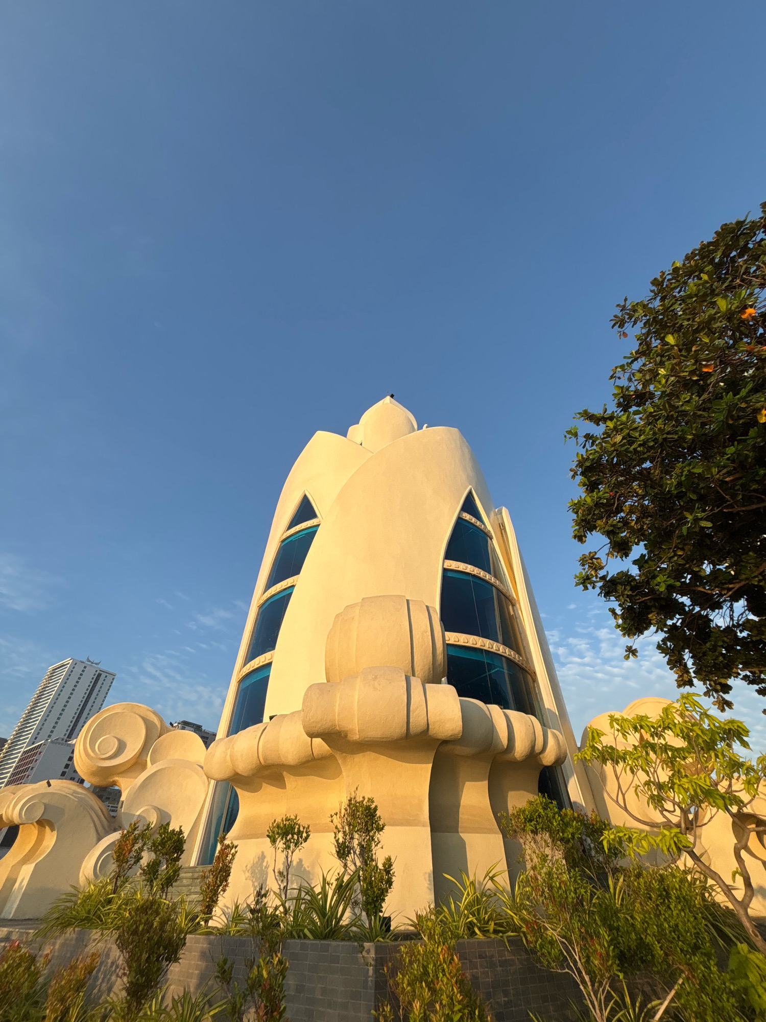 The image shows a low-angle shot of a unique, cream-colored building with flowing, organic architectural lines, possibly a museum or a cultural center, located in Nha Trang, Vietnam. The building features large, triangular windows with blue-tinted glass, and decorative sculpted elements resembling waves or unfurling petals. In the background, a modern, tall white high-rise building stands out against a clear blue sky with wispy clouds. To the right of the main structure, a lush green tree with dense foliage extends into the frame. The foreground is adorned with various plants and bushes, some of which are a vibrant green, adding to the tropical feel of the scene. The sunlight illuminates the building, casting warm tones and shadows, suggesting it is either early morning or late afternoon. There are no people visible in the image.