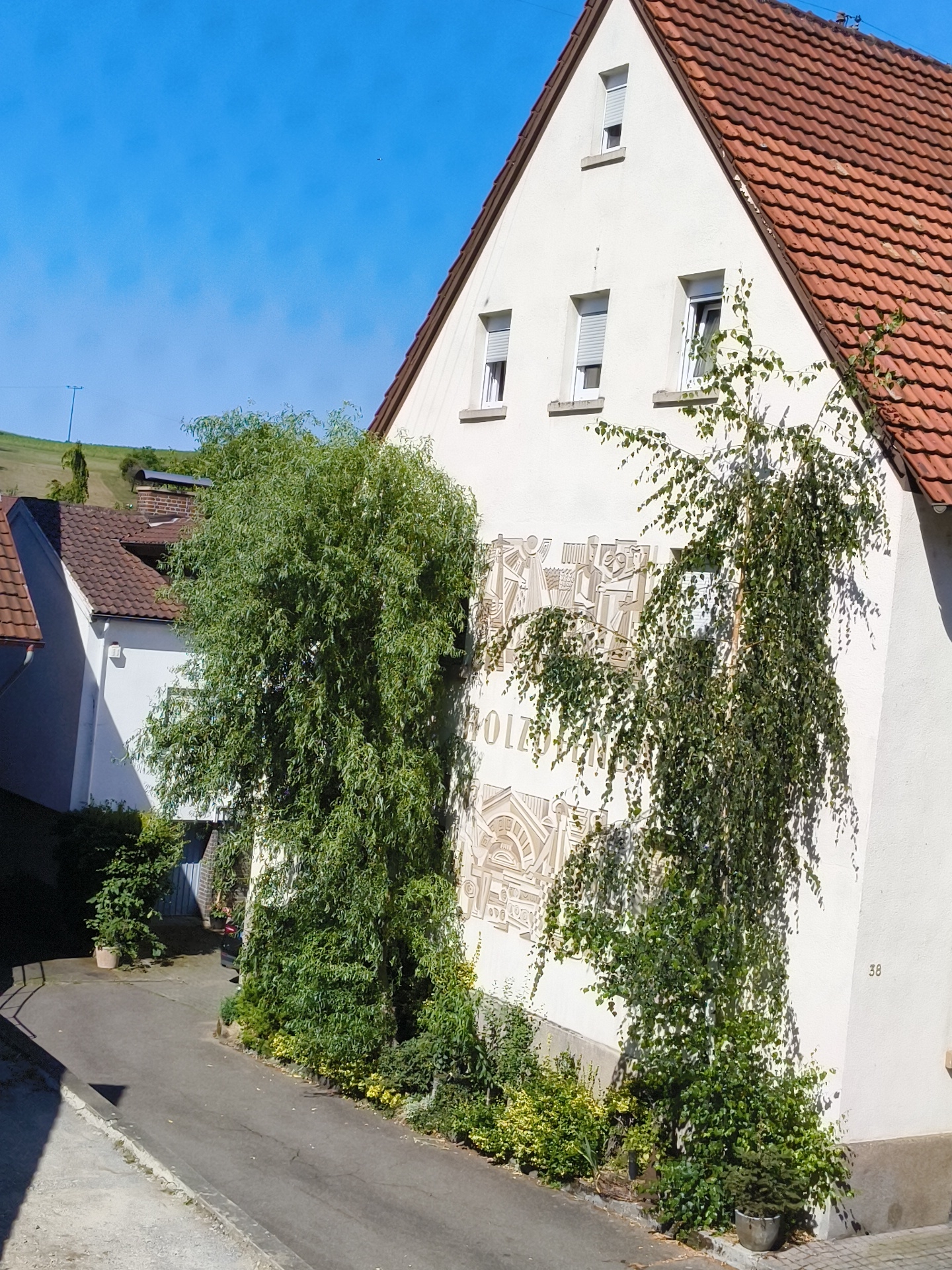 The image shows a white building with a red tiled roof in Hardthausen am Kocher, Germany. The building has several windows with white frames and grey roll-up shutters. A decorative relief is visible on the wall of the building, featuring abstract shapes and what appear to be depictions of buildings and figures. The relief has text in large, stylized letters that spell out "HOLZ" and "HAUS". Two trees, one with dense foliage and the other a weeping birch, are growing in front of the building, partially obscuring the relief. The ground in front of the building is paved with asphalt and there are some small plants and bushes along the edge of the road. In the background, there is a sloping green hill and a bright blue sky. A small number "38" is visible on the side of the building.