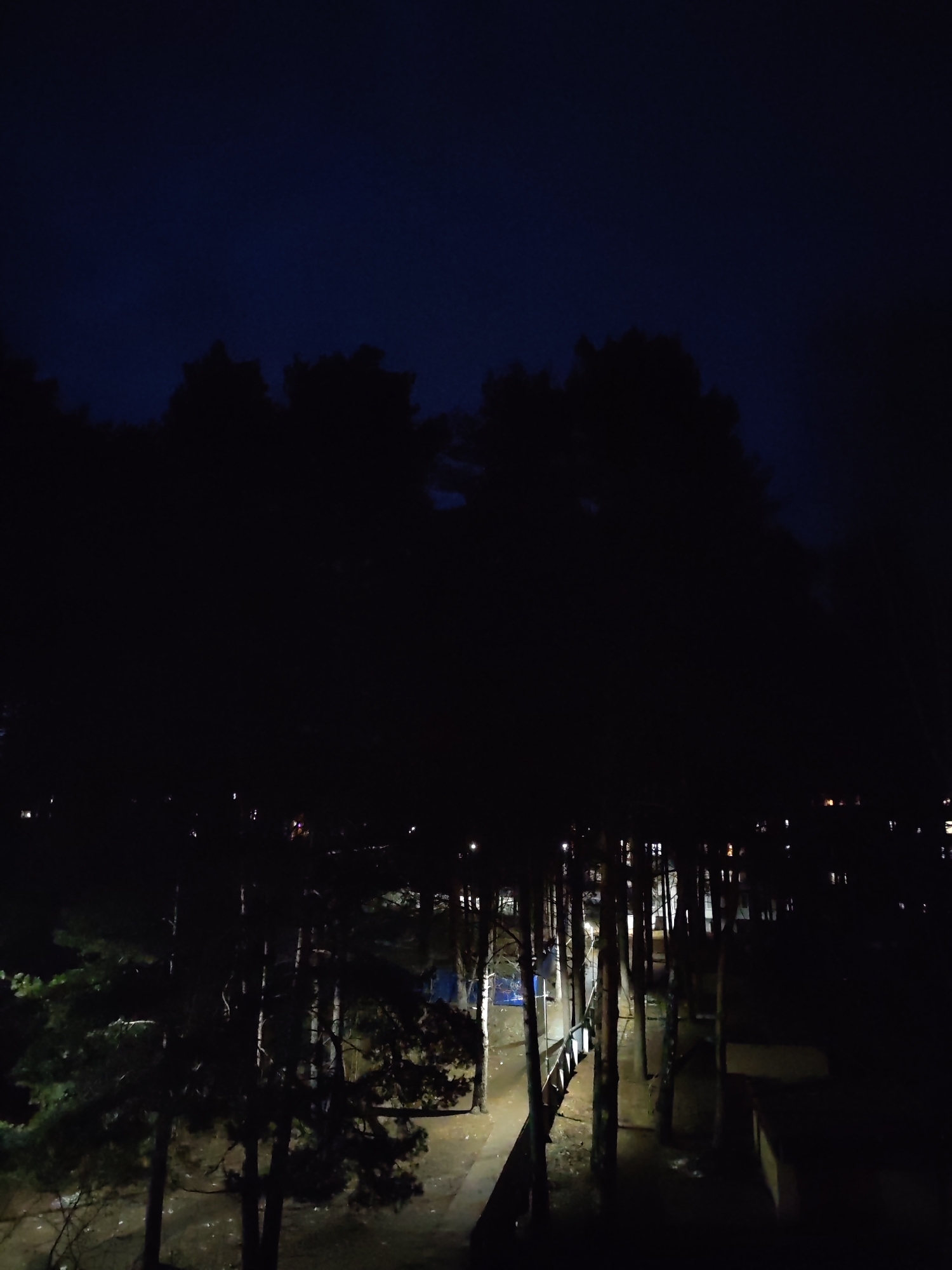 The image depicts a night scene in Chaikovsky, Russia, featuring a partially obscured view of a pathway lined with trees. The foreground is dominated by the dark silhouettes of trees. A lit pathway, illuminated by streetlights, cuts through the trees. In the distance, lights from buildings are visible. The sky is dark blue. The overall impression is one of a quiet, dimly lit park or wooded area within a city environment at night.