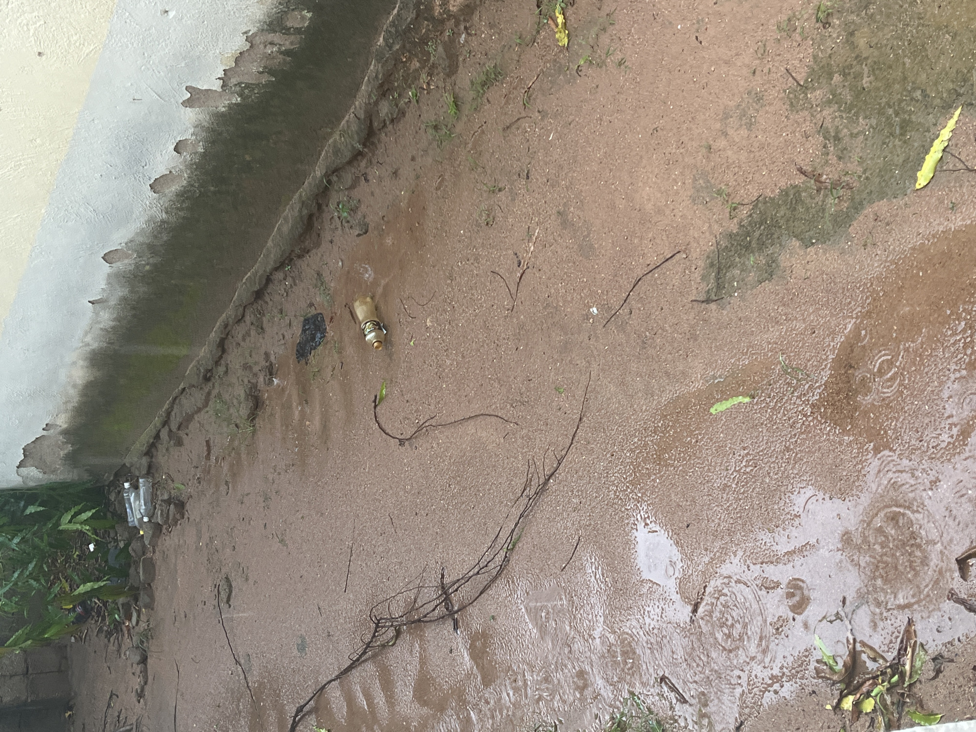The image depicts an outdoor scene, likely in a rural or less developed area, with a focus on a muddy, wet ground surface. The ground is reddish-brown and appears to be made of soil, with several puddles and areas of standing water, indicating recent rainfall. In the upper left, there are some green plants and building materials, possibly bricks. There are a few discarded plastic bottles scattered on the ground, one of which is partially filled with liquid. A black plastic bag is also visible. Thin, dark, vine-like debris is spread across the muddy surface. The background features a partially damaged wall, with peeling paint and visible signs of weathering and staining, suggesting it's an external wall of a building. The overall impression is one of disarray and neglect. The location of Jauro Yinu, Nigeria is not explicitly depicted or inferable from the visual elements in the image itself; therefore, no specific details about this location can be provided based solely on the image.