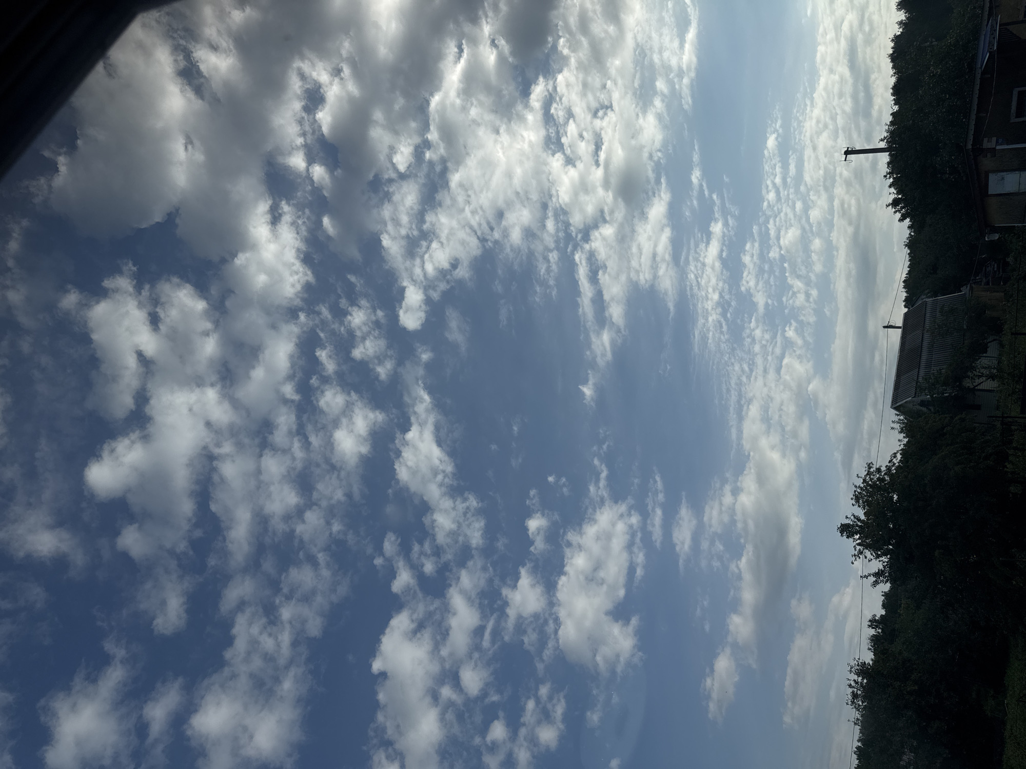 This is a photograph taken from ground level, looking upwards at a partly cloudy sky over a rural landscape. The sky is a deep blue with scattered white cumulus clouds, some of which are tinged with gray, suggesting they may be developing or dissipating. The clouds are spread across the frame, with a concentration of lighter clouds in the upper left and middle of the image, and heavier, darker clouds towards the upper right.
Below the sky, a dense line of dark green trees forms a horizon. Within this tree line, several structures are visible. On the left, a dark-colored, gabled roof structure, possibly a house or shed, is partially obscured by trees. In the center-right, a tall, thin, dark pole, likely a utility pole, rises above the trees, with a small piece of equipment attached to its top. To the right of the utility pole, another small building with a dark roof and lighter colored walls is visible. The overall impression is of a late afternoon or early evening scene in a rural area. The location is identified as Nikolaevka, Russia.