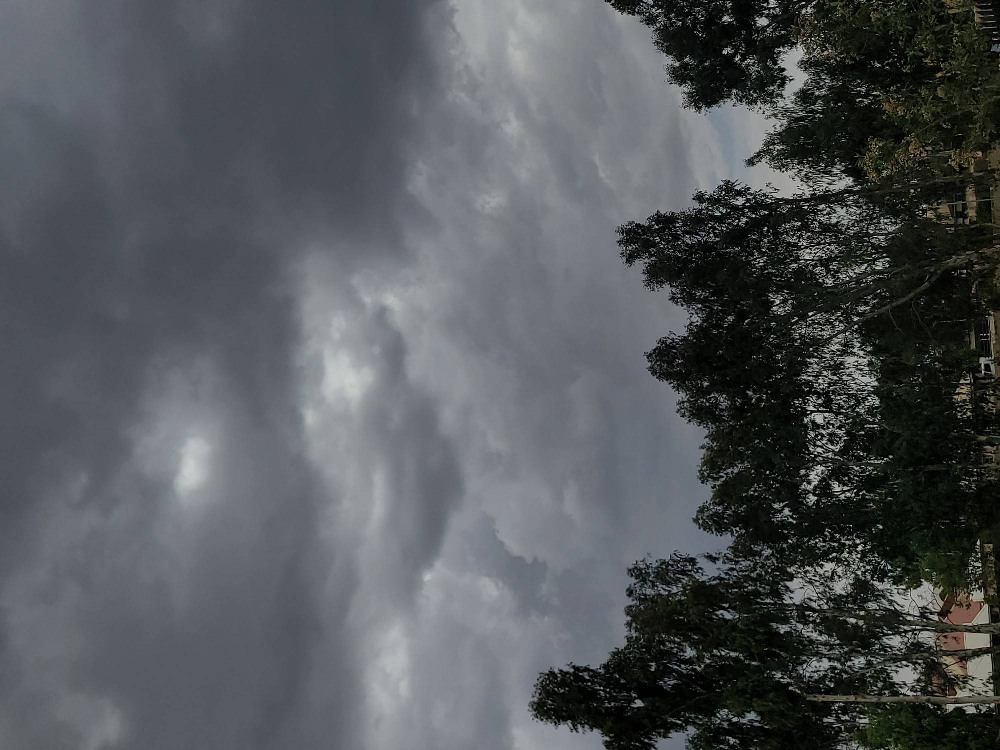 A photograph taken from an upward-facing angle depicts a sky heavy with dark, overcast clouds, indicative of an impending storm. Silhouetted against the stormy sky are the branches and foliage of several trees, likely eucalyptus given the location in Jos, Nigeria. The vegetation appears dense and mature. A building is partially visible in the lower right corner of the frame.