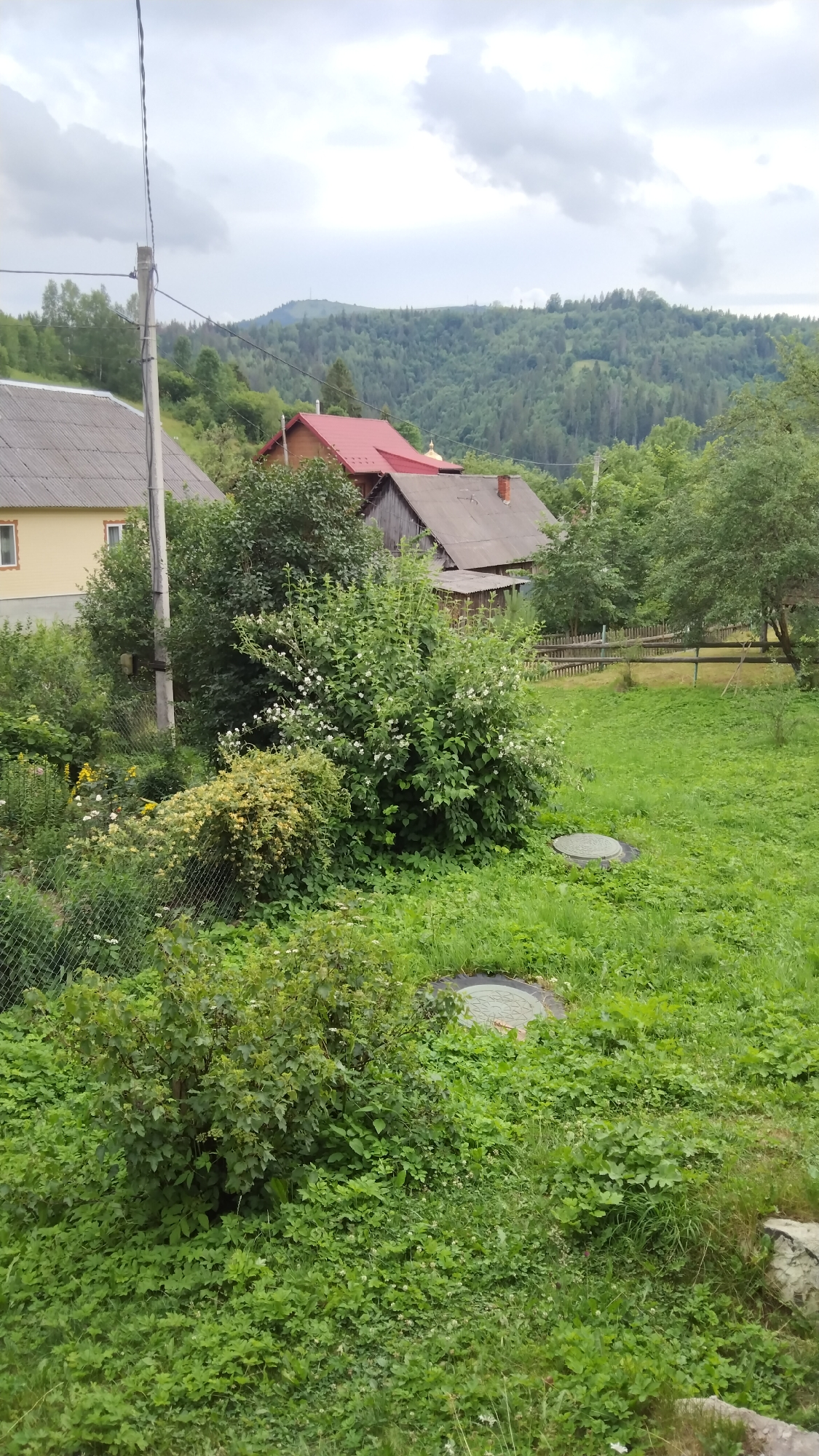 The image shows a rural landscape with several houses and dense vegetation, set against a backdrop of forested hills. In the foreground, there is lush green grass and various bushes, some with white flowers. Two circular manhole covers are visible in the grass. A wire fence runs along the left side of the image. Behind the bushes, a yellow house with a grey roof and a wooden house with a red roof are partially visible. A wooden fence can be seen further back, separating the property from a grassy field. The sky is overcast with grey clouds. The scene depicts a residential area in a hilly, forested region, likely in Nyzhnia Rozhanka, Ukraine, characterized by a natural, somewhat unmanicured environment.