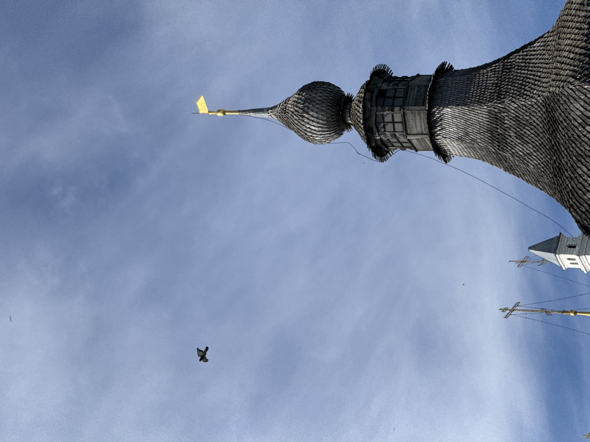 A low-angle, upright shot captures the intricate wooden spire of a Russian Orthodox church against a bright blue sky with sparse, wispy clouds. The main subject is a tall bell tower or spire, positioned on the right side of the frame and tapering upwards to a golden finial topped with a small, golden flag-like weathervane. The structure is meticulously covered in dark, possibly weathered wooden shingles, creating a textured, almost scaly appearance. A segmented, bulbous section sits below the pointed spire, featuring small, rectangular window-like openings.
In the mid-left portion of the sky, a dark bird with outstretched wings is prominently visible in flight. A smaller, lighter bird can be seen further to the left. The sky is mostly clear, indicating daytime.
In the lower right corner, parts of other church elements are visible, including the white facade and grey roof of an adjacent building and several golden Orthodox crosses, some appearing weathered. The architectural style, particularly the onion-shaped dome and the Orthodox crosses, indicates the location is a religious site in Novo-Nikolskoye, Russia. There is no visible text. The overall impression is one of traditional religious architecture captured on a clear day.
