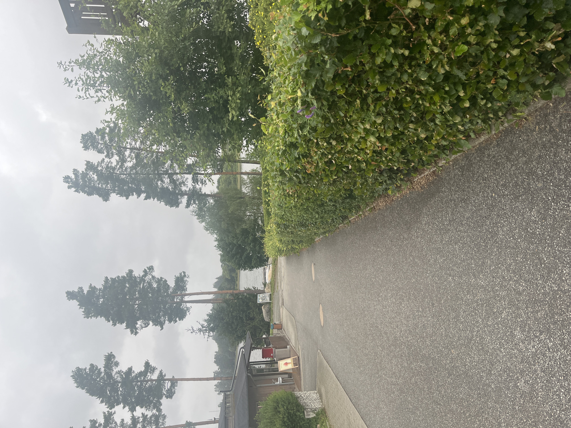 This media file captures a scene in Milná, Czechia, likely during the daytime under overcast skies. The image depicts a paved pathway or road running alongside a dense, green hedge. Beyond the hedge, tall evergreen trees with thin trunks are visible, some appearing quite tall and silhouetted against the bright, hazy sky. In the distance, a body of water, possibly a lake or river, is visible, with trees lining its far bank.
Closer to the foreground, there's a small building with a dark roof and windows. Outside this building, there are some objects, including what appears to be chairs and framed pictures displayed. One sign has some text and a circular graphic. Further down the path, there are circular manhole covers or similar utility markers. The overall impression is a serene, perhaps slightly damp, outdoor environment, possibly a park or recreational area near water. There are no people visible in the scene. The presence of the building and the pathway suggests a maintained area, perhaps a park entrance or a small amenity building. The weather appears to be cloudy, contributing to a muted color palette and diffused light.