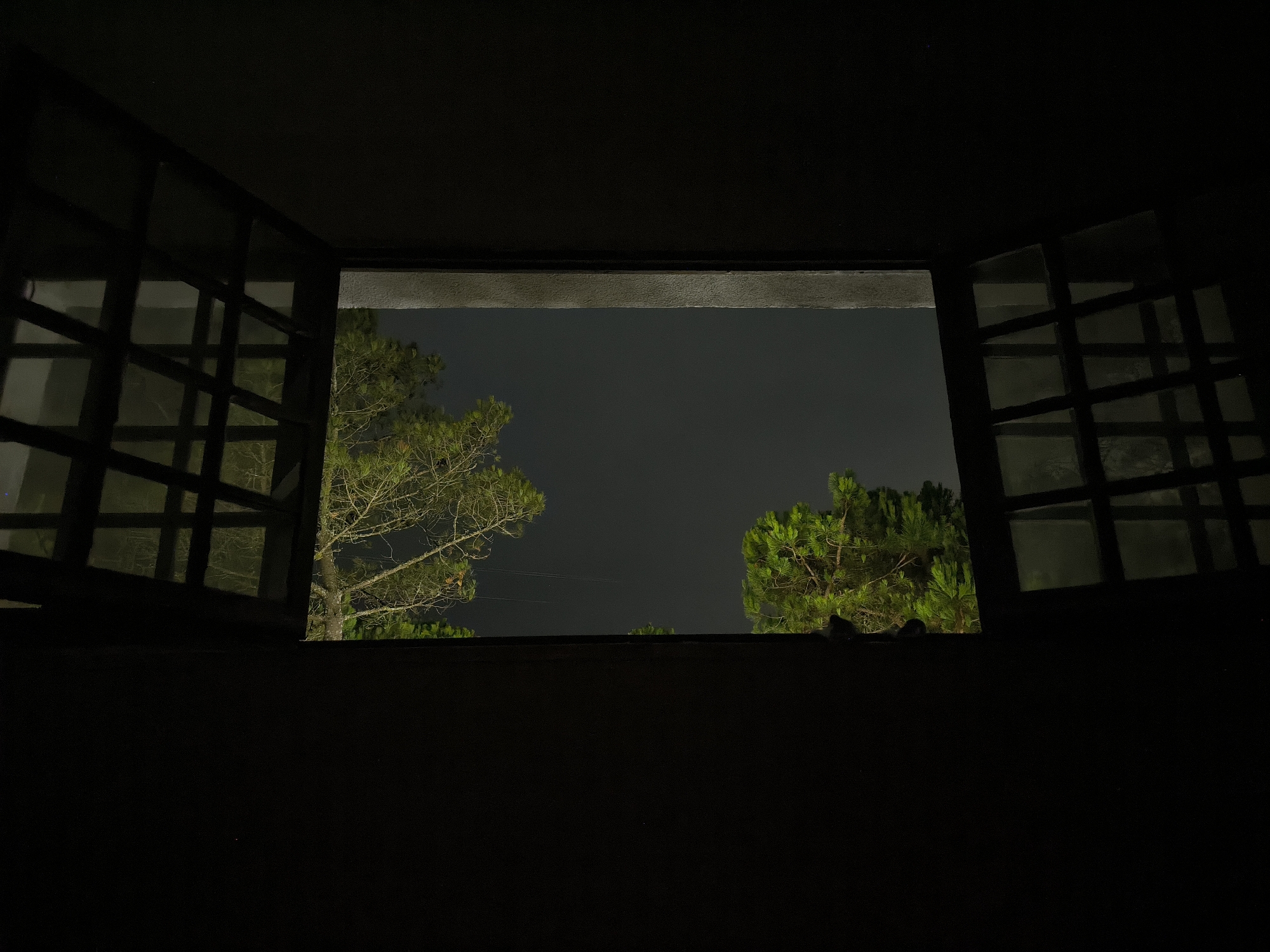 This is a photograph taken at night, looking through an open window. The foreground is dark, obscuring the interior of the room. The window frame is visible, with panes of glass creating a grid pattern. Beyond the window, the night sky is visible, appearing dark and overcast. Two pine trees with green foliage are illuminated by an unseen light source, standing out against the dark sky. The trees are located outdoors, possibly in a natural or semi-natural setting. There is no indication of the city of Mafra, Portugal, in the image itself. The scene is static and there are no people or actions depicted.