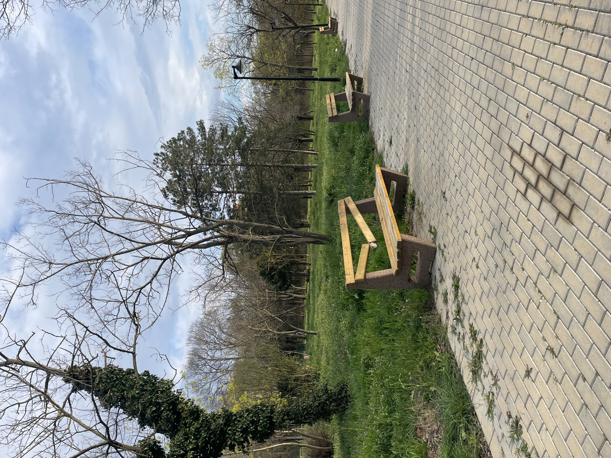 The image depicts a park scene in Burgas, Bulgaria. A paved brick walkway runs along the right side of the frame. Two park benches are positioned on the edge of the walkway, facing toward a grassy area with various trees. The trees are mostly bare, indicating it is early spring or late fall. One tree is covered in ivy near the bottom left corner. A black lamppost stands further back in the park. The sky is overcast with streaks of clouds. The scene is devoid of people.