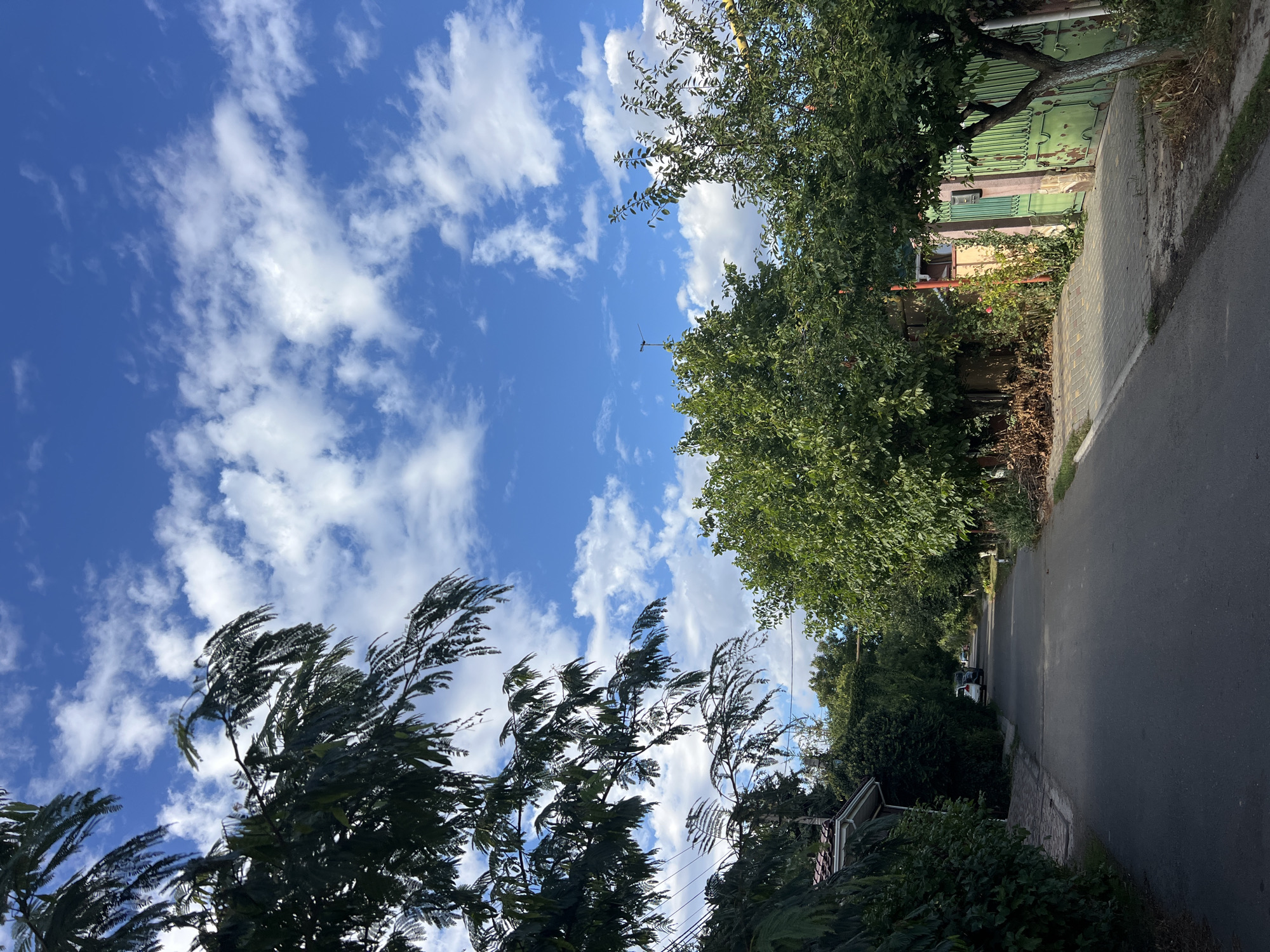 This is a vertical, eye-level, medium shot of a paved road in Fontanka, Ukraine, flanked by trees and houses. The road stretches into the distance, where it appears to curve slightly. On the left side of the road, there is a house with a tiled roof and a wall covered in dense green foliage. Further down the road, several cars are parked. On the right side of the road, there are fences, trees, and parts of houses. The sky is blue with scattered white clouds. The overall scene suggests a quiet, residential street on a sunny day.