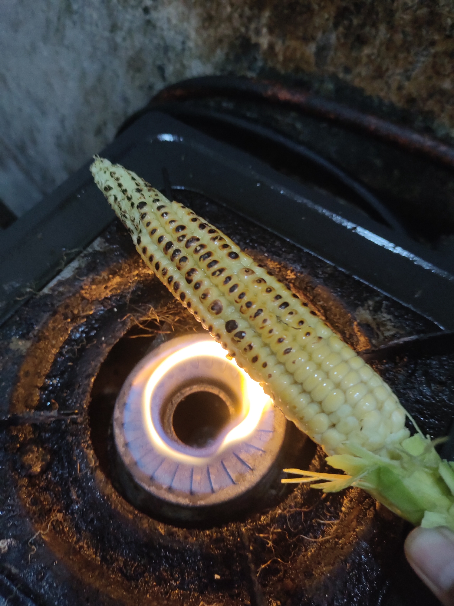 A close-up, overhead shot shows a person roasting an ear of corn over a gas stove burner in Tangkil, Indonesia. The corn is partially husked and has visible char marks on its kernels, indicating it's being cooked directly over the flame. The gas burner is active, emitting a blue and yellow flame that illuminates the corn and the surrounding stovetop. The stovetop appears to be old and somewhat dirty, with dried food residue visible. The background is dark and out of focus, with a hint of a textured wall. The lighting is dim, with the primary light source being the gas flame.