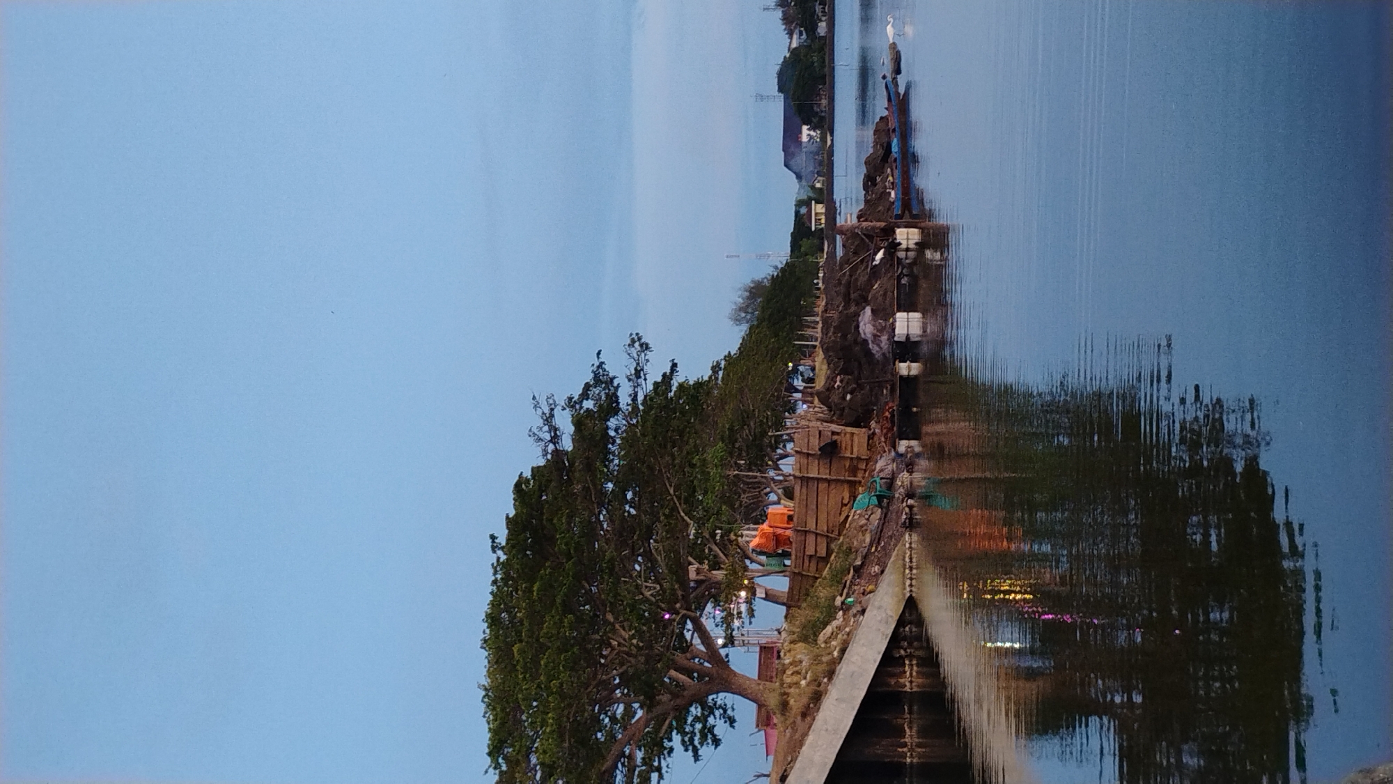 The image depicts a serene waterfront scene in Lhokseumawe, Indonesia, likely during twilight given the soft lighting and calm water. In the foreground, the water reflects the surrounding elements, including the sky and trees. Along the bank, a large, mature tree with a sprawling canopy dominates the left side of the frame, its branches extending towards the water.
Adjacent to the tree, a wooden structure appears to be under construction or in disrepair, with piles of debris and materials scattered around it. Several orange objects, possibly tarps or seating, are stacked on this structure. Two green chairs are also visible. The bank itself is a mix of rocky terrain and soil.
Further along the bank, a line of trees stretches into the distance, creating a green backdrop. Beyond the trees, buildings and structures, including what appears to be a radio tower, are visible on the horizon, suggesting the presence of a town or city.
In the water, several white buoys or floats are moored. A small blue boat is partially submerged near the bank. Two white egrets are present in the scene, one standing near the boat and another further out in the water. The overall atmosphere is peaceful, with the gentle ripples on the water adding to the tranquility. The scene appears to be located near the Ujong Blang beach area, a well-known coastal attraction in Lhokseumawe.