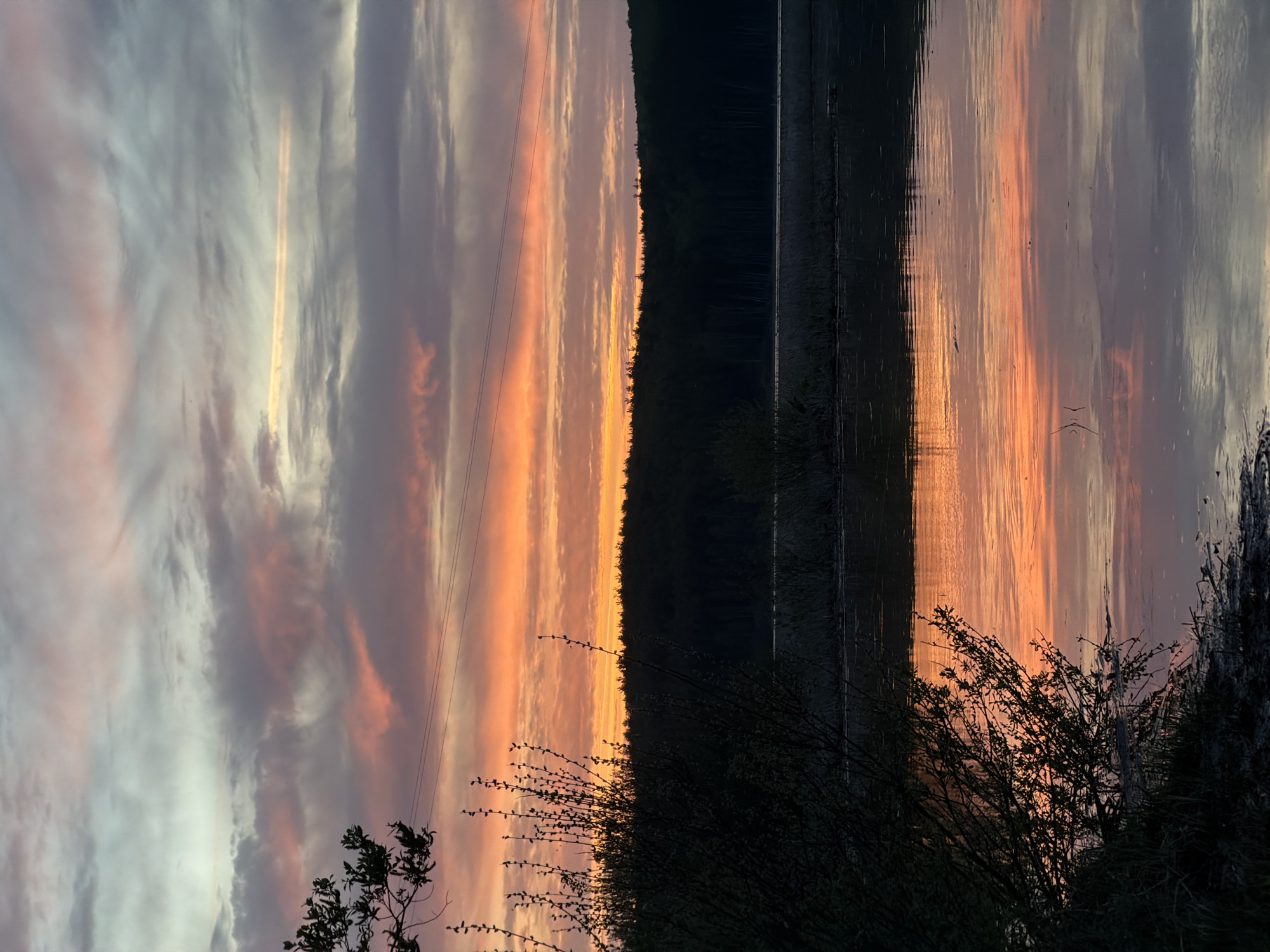 The image depicts a sunset scene near the city of Chaikovsky, Russia. A body of water, likely the Kama River, reflects the colors of the sunset sky, which features striated clouds in hues of orange, pink, and gray. A dark line of trees and vegetation occupies the center of the frame, separating the sky and its reflection. Silhouetted trees and bushes are visible in the foreground. Power lines run across the sky in the upper-left portion of the image. The photograph is taken from a low vantage point.