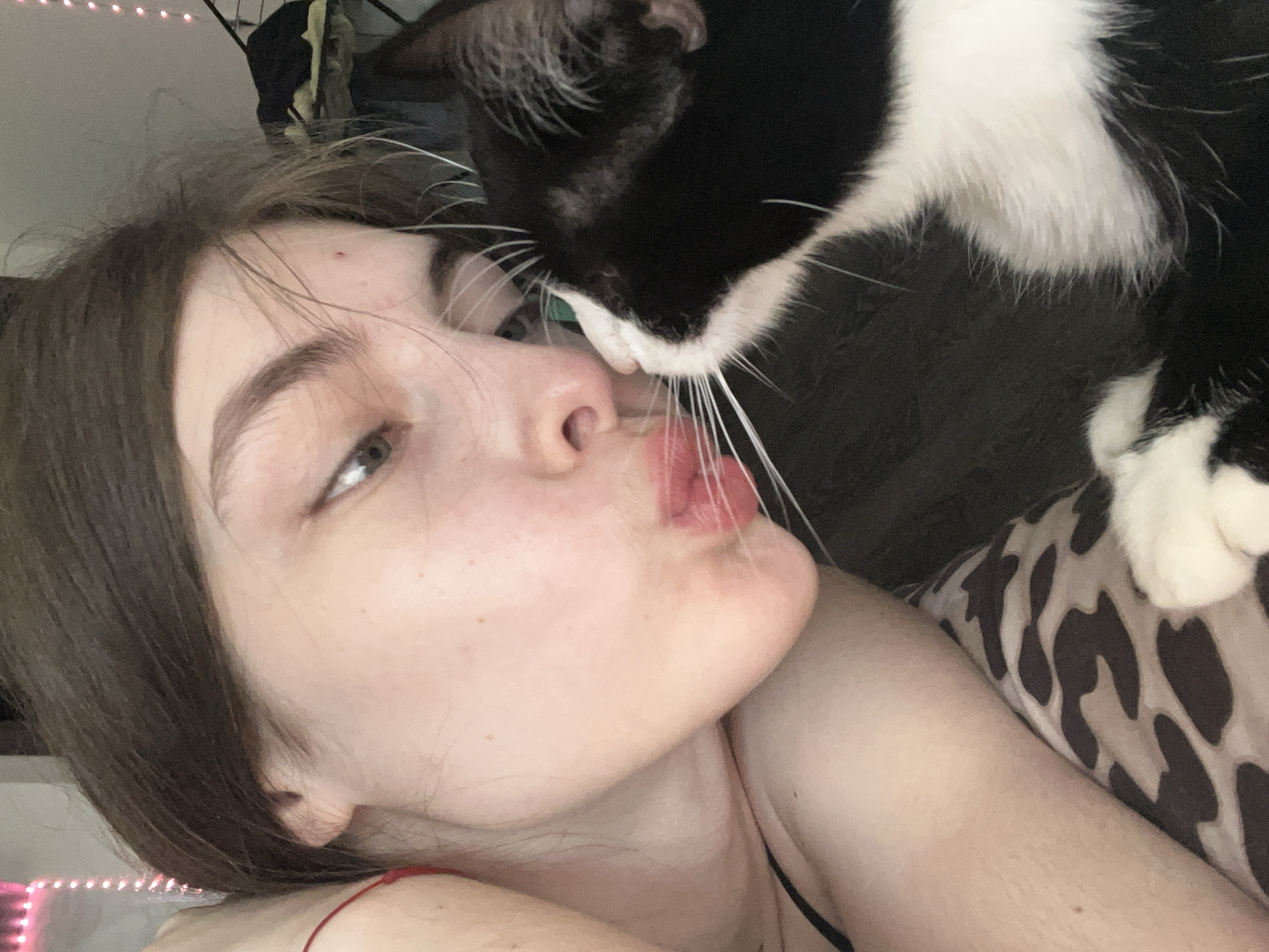 A close-up selfie shows a young, fair-skinned woman with brown hair, lying down, with a black and white cat nuzzling her face. The woman has light-colored eyes and is wearing a thin-strapped top, partially visible. The cat is primarily black with white markings on its face and paws. A patterned pillow or cushion is visible beneath the cat. Pink string lights can be seen blurred in the background. The location cannot be determined to be St. Petersburg, Russia from the visible image.