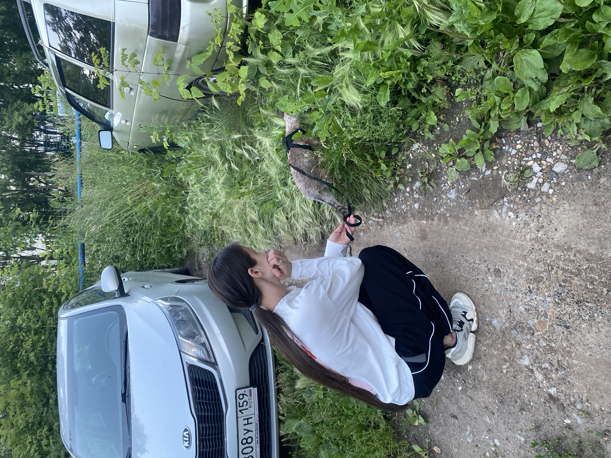 An overhead shot shows a person squatting on a dirt path next to a light-colored Kia car. The person, facing right, is wearing a white long-sleeved shirt, black pants with white stripes, and light-colored sneakers. Their dark hair is pulled back into a ponytail. To the right of the Kia, a light-colored car is parked partially obscured by tall, green grass. A tabby cat wearing a black harness and leash is in the grass, sniffing at the ground. The scene appears to be in an outdoor, overgrown area, possibly a residential street or park.