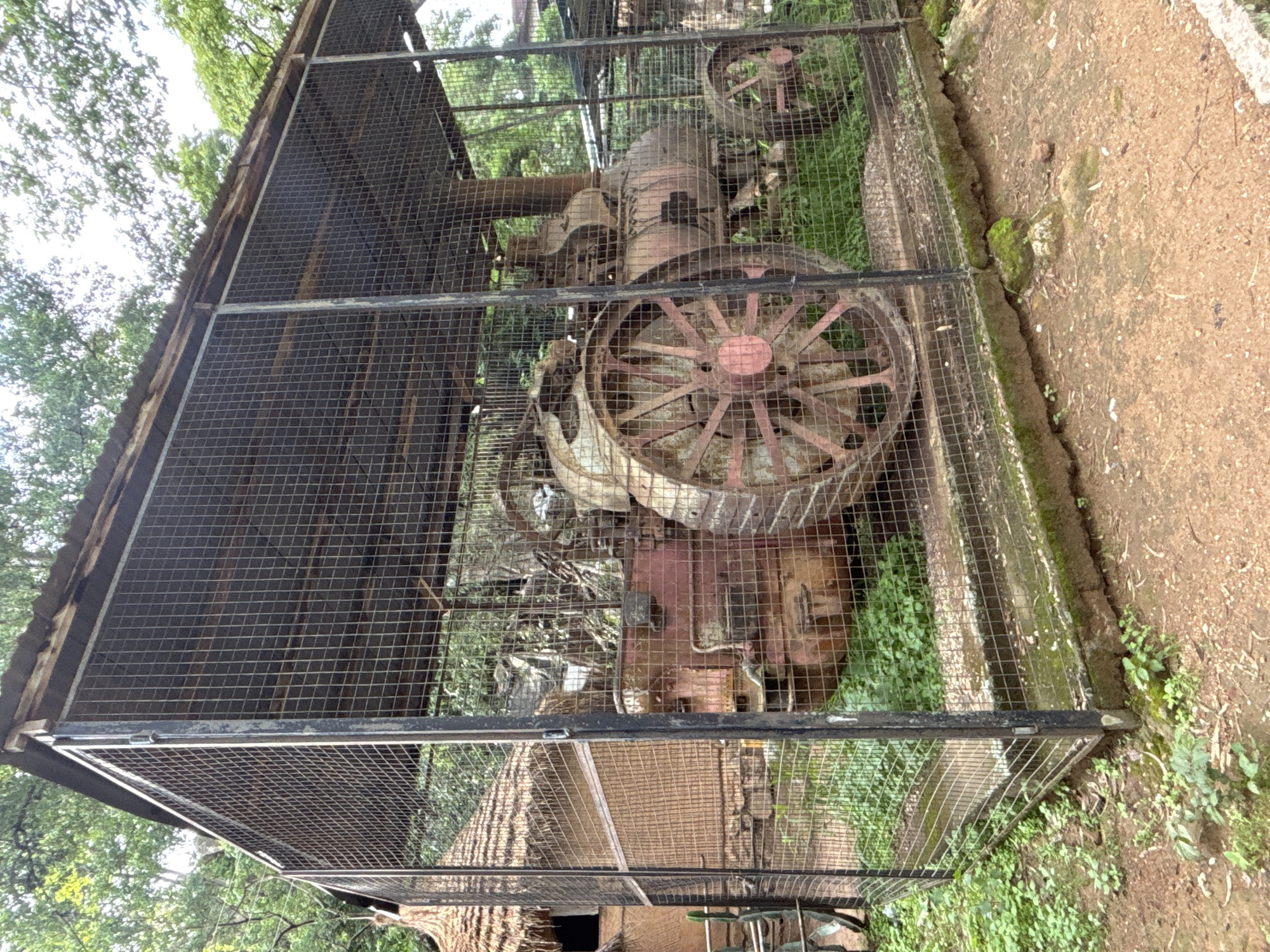 An old, red and white steam tractor is housed within a metal cage. The tractor has large spoked wheels and appears to be in a state of disrepair, with rust visible on its metal parts. The cage is made of metal bars and wire mesh, with a corrugated metal roof. The tractor is surrounded by green vegetation, and the ground is covered in dirt and scattered leaves. In the background, there is a thatched-roof building and trees. The scene appears to be an outdoor exhibit, possibly at a museum or historical site. This tractor is located at the Jos Museum in Jos, Nigeria.