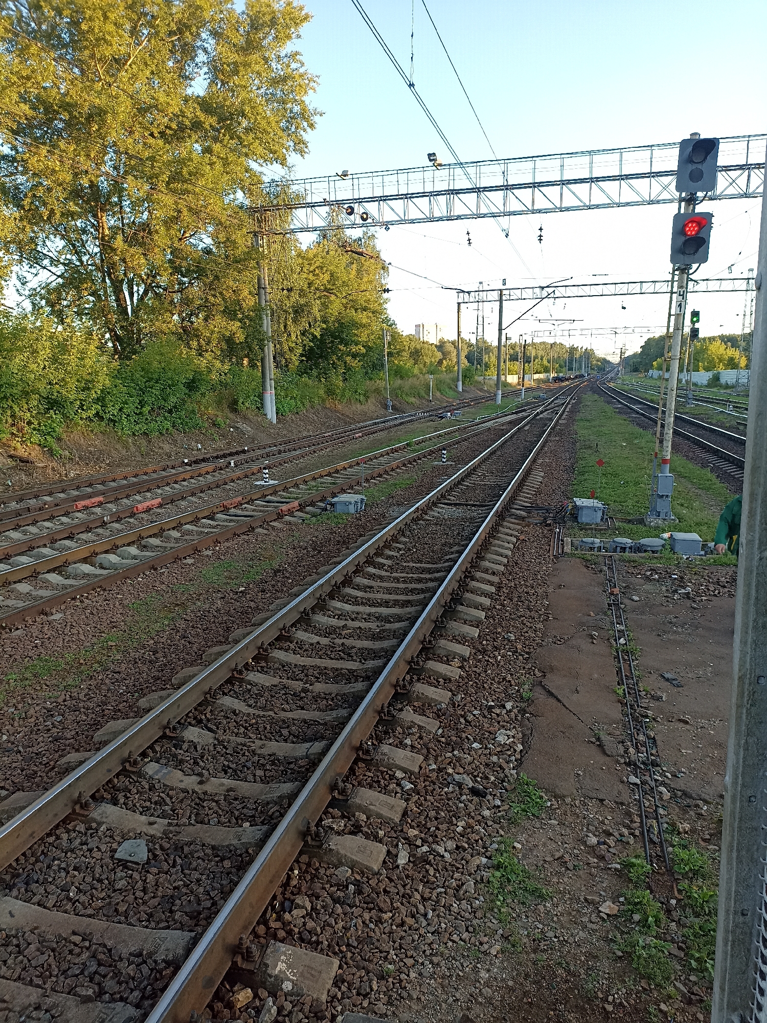 The image captures a railway junction in Chekhov, Russia, bathed in the golden light of late afternoon. Multiple sets of railroad tracks recede into the distance, converging and diverging, suggesting a busy transportation hub. Overhead, a complex network of electrical catenary wires spans the tracks, supporting the infrastructure for electric trains. A prominent railway signal displays a red light, indicating a stop. The surrounding environment is a mix of natural elements and man-made structures. Lush green trees and foliage line the embankment on the left, while the right side features a concrete platform and various railway equipment, including electrical boxes and conduits. The ground is covered with ballast, typical of railway beds, with patches of grass and weeds growing through. The scene conveys a sense of ordered industrial activity within a semi-natural setting. There are no people clearly visible in the frame, but a suggestion of a person in a green jacket is partially visible on the far right, near the edge of the frame, partially obscured by a concrete pillar.