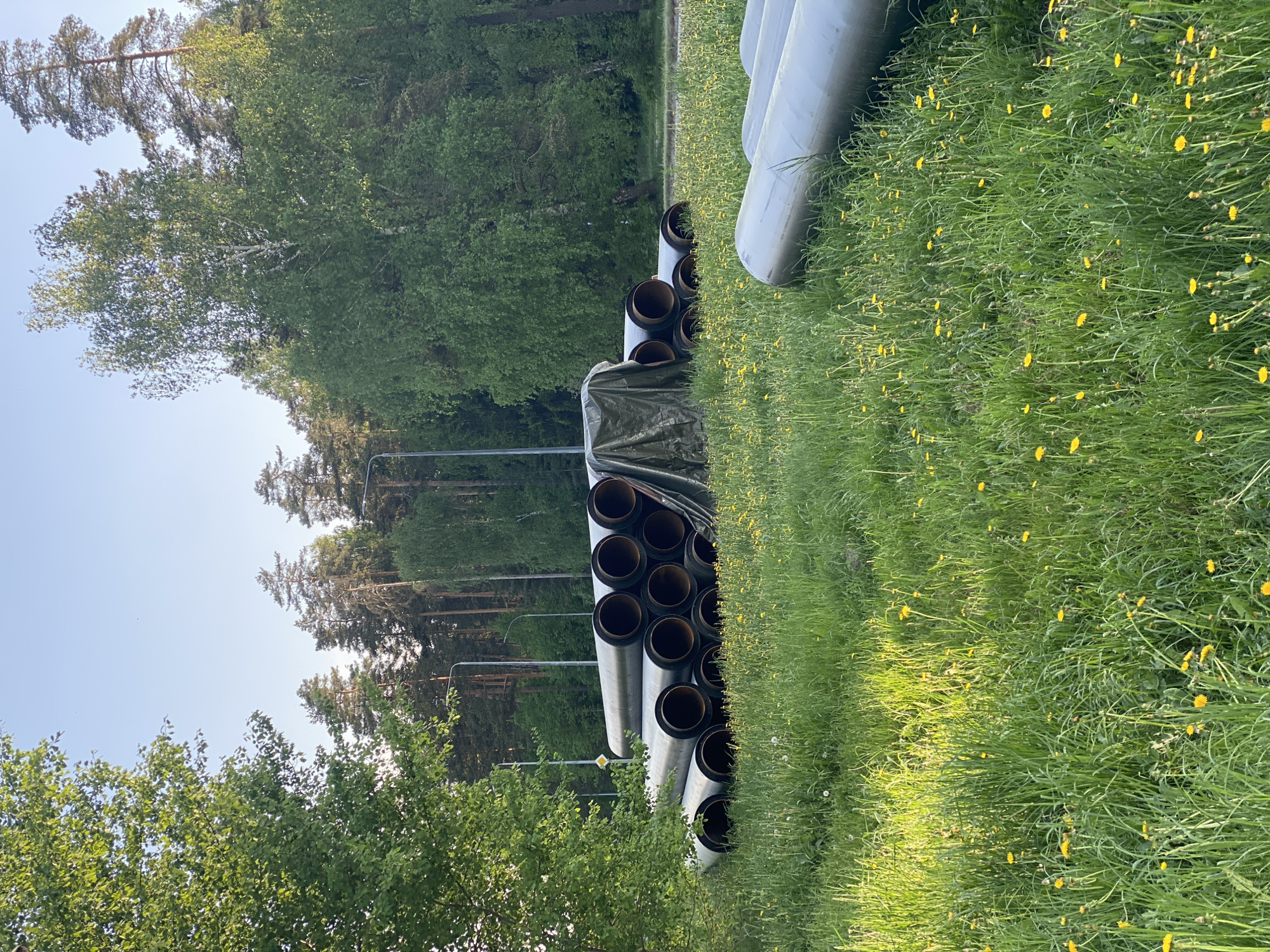 The image shows a landscape of green grass and trees under a blue sky in Unknown, Unknown. Several gray pipes are stacked in the grass, some covered by a tarp. Yellow wildflowers are scattered throughout the grass. Tall street lights are visible among the trees in the background.