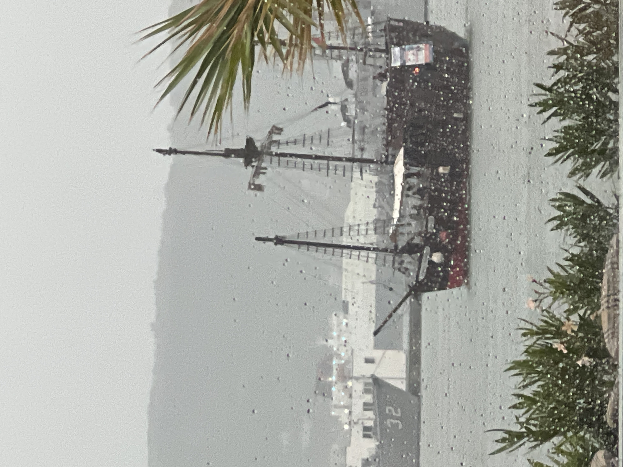 The image depicts a rainy daytime scene in Varna, Bulgaria, viewed through a surface covered in water droplets. These droplets are scattered across the entire frame, creating a textured, slightly diffused effect and numerous tiny points of light from reflections.
The central subject is a large, dark-hulled tall ship, likely a replica of a pirate or historical sailing vessel, equipped with multiple masts and complex rigging. The ship appears to be stationary, possibly docked or anchored in a harbor. A small, rectangular sign, blurry but showing red and white colors, is visible on the ship's stern.
In the foreground, to the upper left, are the green fronds of a palm tree, also wet with raindrops. On the right side of the image, more green foliage, resembling wet shrubs or smaller trees, frames the scene.
The background shows a shoreline with various buildings under an overcast, gray sky. One prominent building in the mid-ground, partially obscured by the wet viewing surface, clearly displays the number "32" on its side. The overall atmosphere is quiet and somewhat muted, characteristic of a rainy day in a coastal setting.