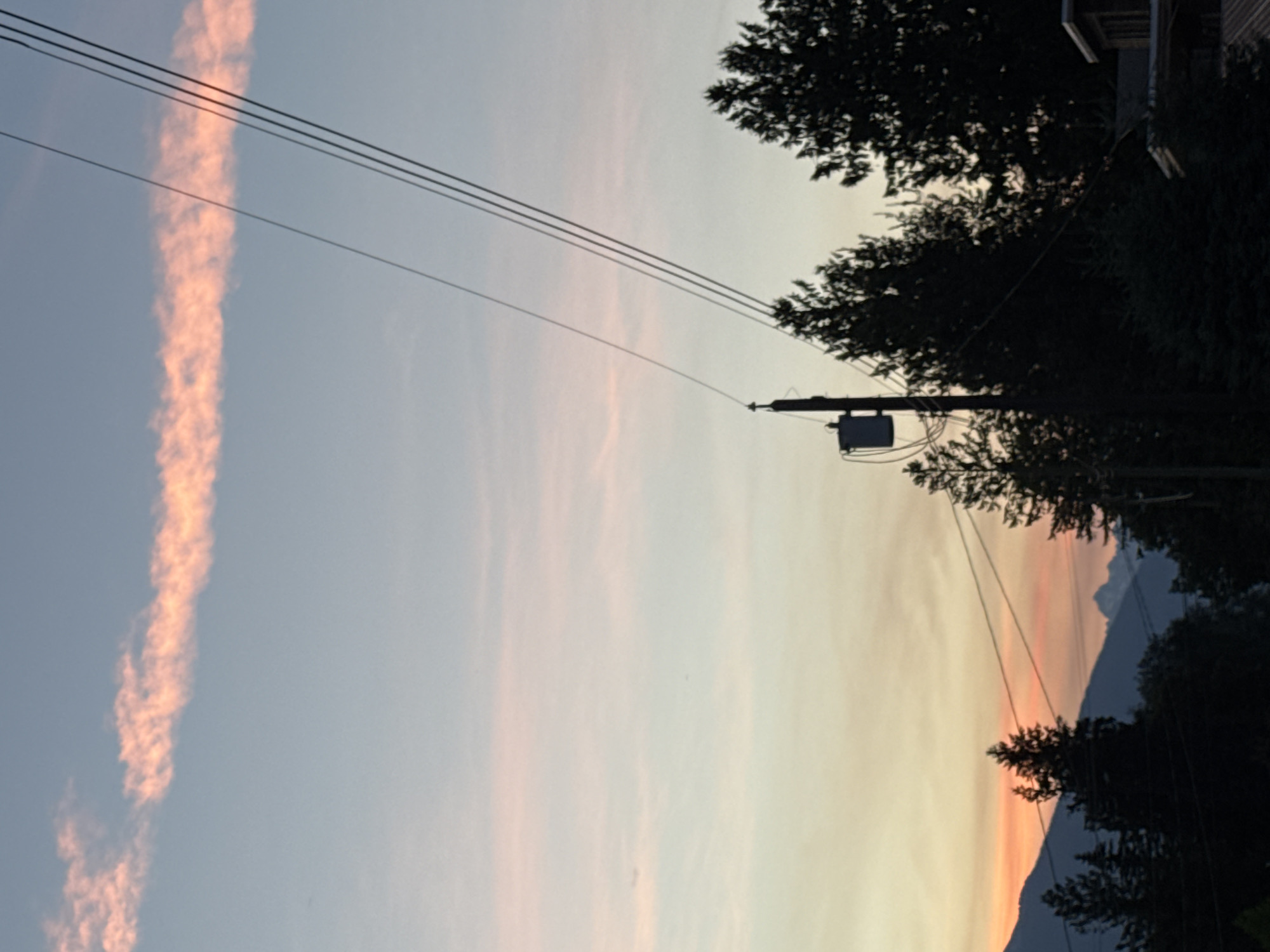 This is a medium-distance, eye-level, outdoor, daytime shot of a rural landscape near Revelstoke, Canada. The scene is dominated by a pastel-colored sky with a long, horizontal streak of pinkish-orange cloud across the upper portion. A silhouette of pine trees forms the lower third of the image, with a power line pole and transformer prominently featured on the left side. Three power lines run diagonally from the upper right to the lower left, intersecting the frame. In the background, a range of dark, silhouetted mountains is visible. The overall mood is serene and twilight-like.
