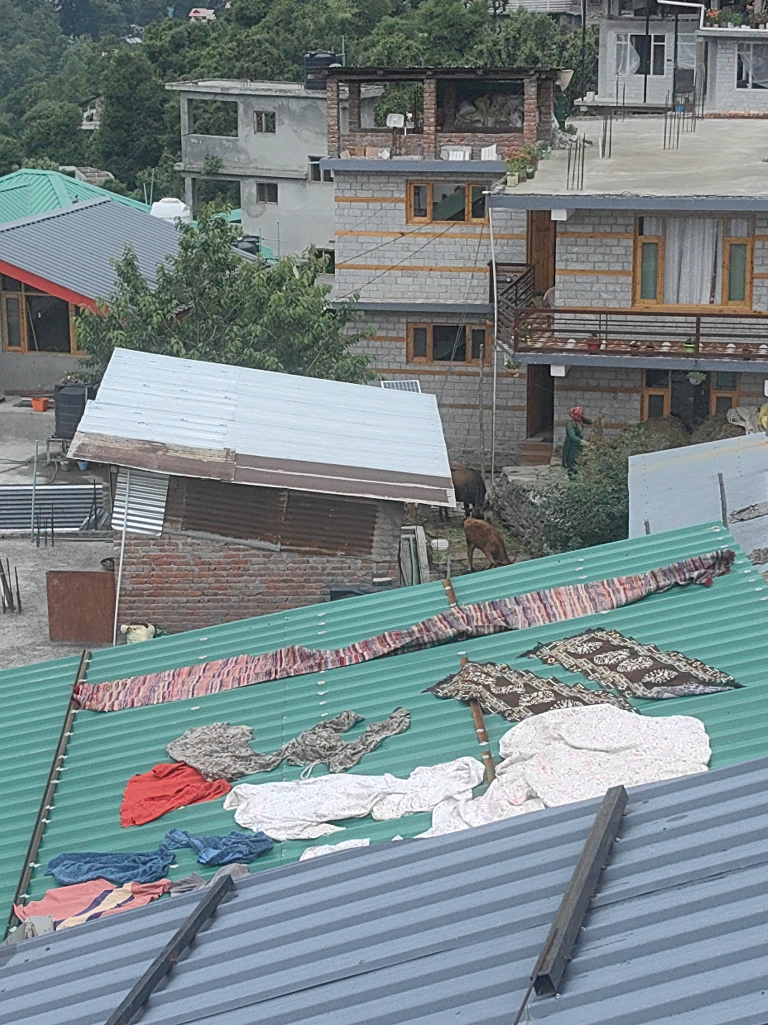 In Vashisht, India, a collection of corrugated metal roofs, some green and some gray, dominate the foreground. Various items of laundry are spread across the green roof, including a red shirt, white fabric, blue towels, and striped garments. Two decorative patterned cloths are also present, one draped over a wooden pole. In the middle ground, a brown dog is visible near a brick structure with a corrugated metal roof. Further back, a woman in a green garment and red headscarf stands among lush vegetation. Several buildings with brick and concrete construction are visible in the background, nestled into a hillside covered in trees.