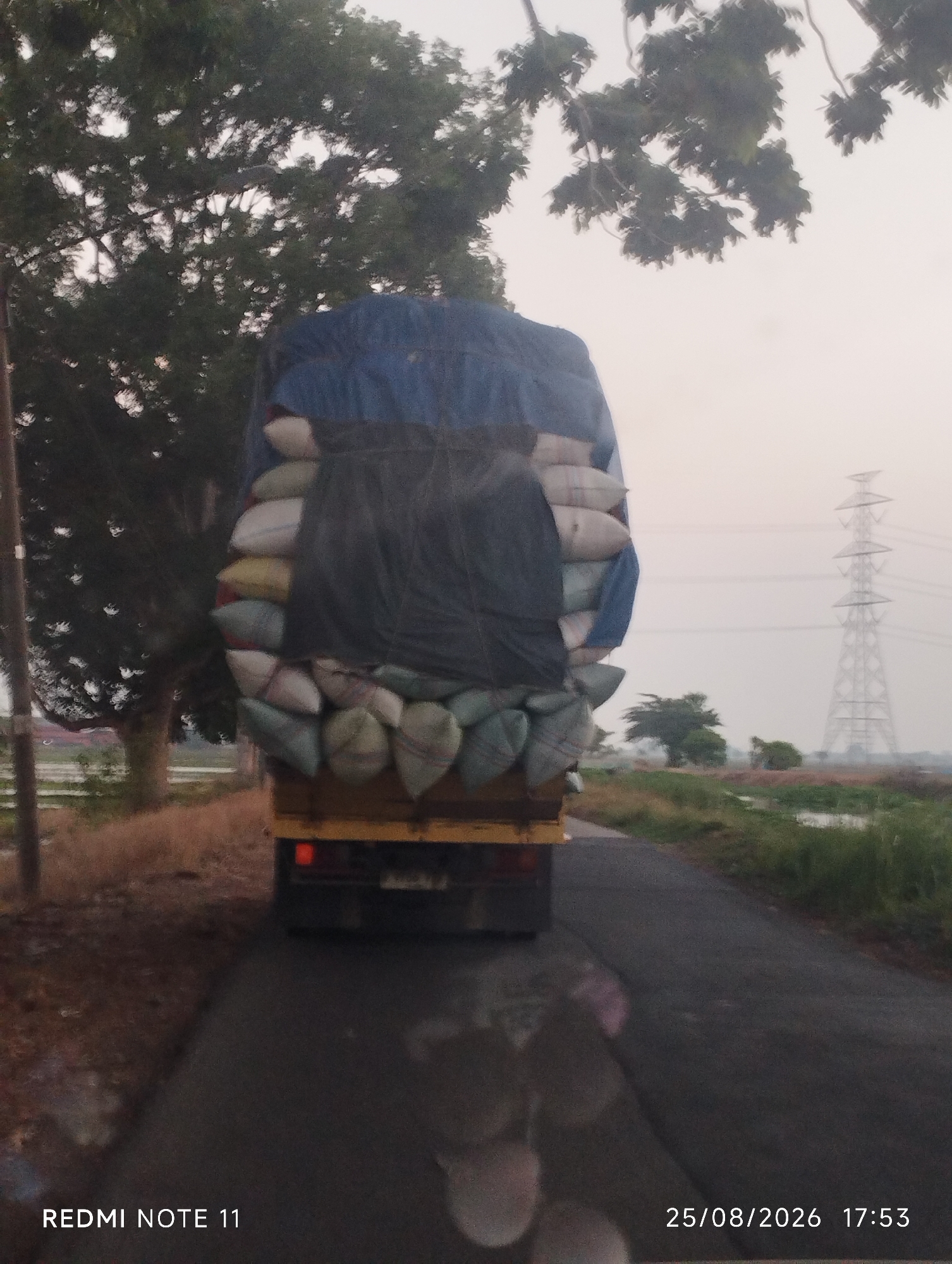 A rear view of a truck loaded with sacks is captured from a slightly elevated perspective, on a paved road. The truck is positioned on the right side of the frame, with its rear end visible. The sacks are covered with a blue tarp and a dark net, and they are stacked high, creating an imposing silhouette. The truck appears to be yellow. Trees with dense foliage flank the left side of the road, their branches reaching towards the overcast sky. In the background, a tall electricity pylon stands against the hazy horizon. The environment suggests a rural or semi-rural setting, likely in Karawang, Indonesia, given the context. The road surface is dark and appears wet in places, possibly from recent rain. The date and time stamp "25/08/2026 17:53" and the text "REDMI NOTE 11" are visible in the lower corners of the image. The overall lighting indicates it's late afternoon or early evening.