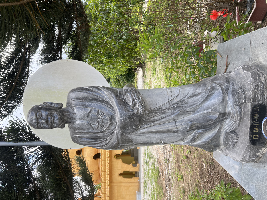 The image displays an outdoor scene in Đăk Mar, Vietnam, centered on a dark grey stone statue. The statue depicts a standing, bald, elderly male figure with a beard and elongated earlobes, dressed in a robe with intricate folds. An emblem resembling a crab or stylized insect is carved on his chest. His hands are clasped in front, holding an object that appears to be a coiled serpent or a stylized dragon head. The statue rests on a rough stone base, inscribed with "TO CA-TY-MA-LA," which in turn sits on a smooth dark grey plinth.
In the midground, directly behind the statue's upper body, a large, circular, off-white disc is positioned, with a thin metal pole extending vertically behind it. To the left of the statue, a multi-tiered, yellow-orange Buddhist temple structure with rounded domes and arched entryway details is visible. The ground cover in the foreground and midground is a mix of sparse grass and dirt. Various green plants and bushes are present, with large, dark green pine-like branches framing the upper and right portions of the image. A small bonsai plant in a rectangular pot, adorned with red ornaments, is situated to the right of the statue's base. The background on the right features denser green foliage, while the sky above is bright and partially obscured by tree branches.