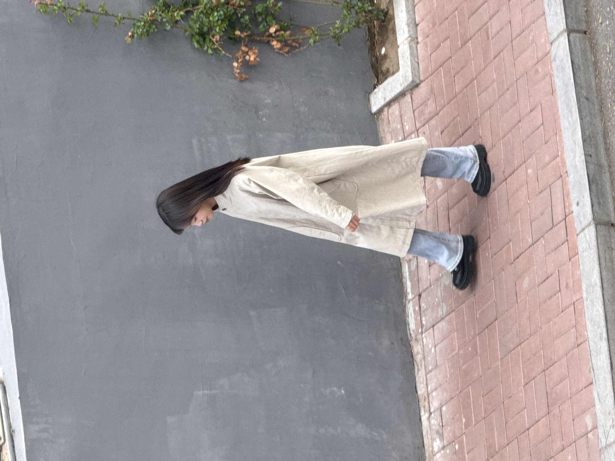 The image, taken in Zhongtun, China, captures a full-body view of a person standing outdoors. The individual has long, straight dark hair and is dressed in a light-colored, likely beige or cream, long trench coat, light blue denim jeans, and dark shoes, possibly loafers or boots. Their head is slightly bowed and turned towards the left, indicating they are looking downwards or focusing on something in that direction.
The setting features a textured, plain gray wall occupying the left side of the frame and extending upwards. Along the upper edge of this wall, green foliage, possibly from a vine or shrub, is visible against the gray background. To the right of the person, a reddish-brown brick sidewalk or pathway stretches across the lower portion of the image. The bricks are arranged in a distinct herringbone pattern. A light gray concrete curb or edge borders the sidewalk on its right side.
The lighting is soft and even, suggesting it is daytime with diffused light, possibly under an overcast sky, as there are no harsh shadows. The scene appears calm and devoid of other people or significant activity. There is no visible text in the image. The photograph is oriented sideways, with the person appearing to stand horizontally across the frame.