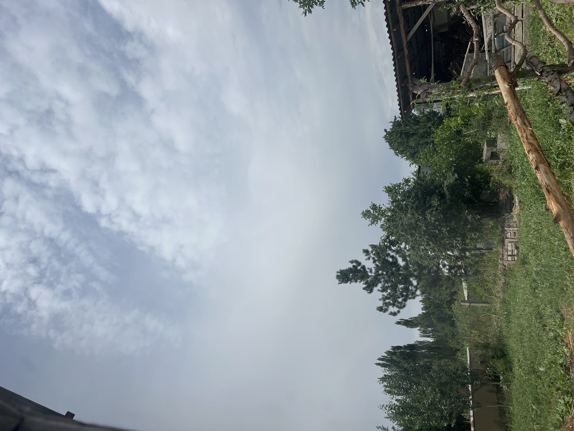 The image depicts an outdoor scene with a cloudy sky overhead. In the foreground, there is a grassy area with a rough wooden fence made of logs and branches. Behind the fence, there is a covered structure, possibly a shed or lean-to, with a corrugated roof supported by wooden posts. This structure appears to be storing wood or other materials.
Further back, the scene is filled with various trees and vegetation, creating a somewhat overgrown and naturalistic environment. To the left, a light-colored wall is visible, and behind it, more trees are densely packed. In the center of the frame, a tall, dark green coniferous tree stands out amongst the other foliage. A wire fence with a single concrete post runs through the mid-ground.
The overall impression is of a rural or semi-rural setting, possibly a backyard or an undeveloped area within the city of Kara-Dıykan, Kyrgyzstan. No people are visible in the image. The lighting suggests it is daytime, but the overcast sky diffuses the light.