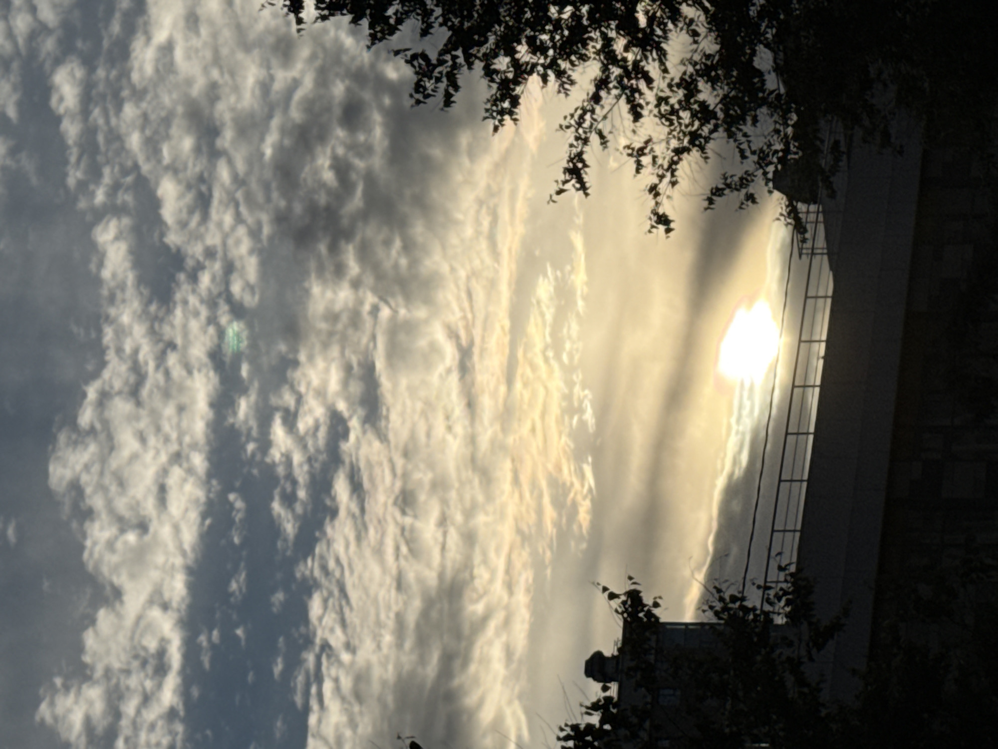 The image captures a hazy, overcast sky with the sun partially obscured by clouds, casting a muted light. In the foreground, silhouetted trees frame a modern building with a railing on its rooftop. The architecture suggests an urban setting, and the presence of trees hints at a park or a more residential area within a city. The overall atmosphere is subdued, likely indicating early morning or late afternoon. The image is set in Moscow, Russia.