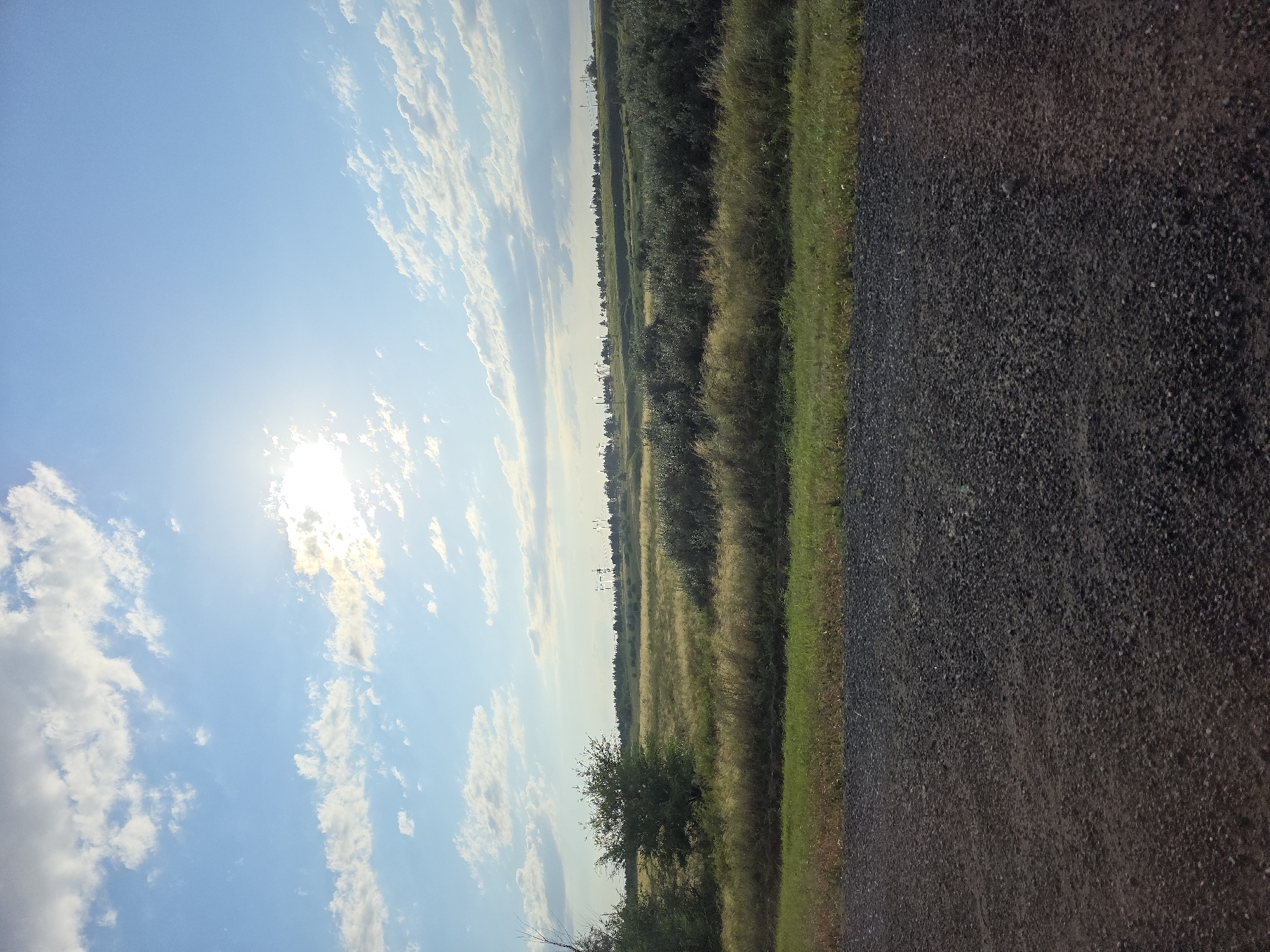 An outdoor, eye-level, wide shot captures a scenic landscape under a bright, partly cloudy sky. The sun is prominently visible, partially obscured by clouds in the upper left quadrant, casting a strong glare. The foreground is dominated by a dark, rough-textured surface, likely gravel or dirt. This transitions into a band of green grass, followed by a more distant field of dry, golden-brown grass and various green shrubs. In the far distance, a line of trees forms a horizon, behind which several tall, industrial structures, possibly wind turbines or power line towers, are silhouetted against the sky. The overall impression is of a rural or undeveloped area with signs of human infrastructure on the horizon. The image does not contain any people, specific objects of note, or discernible actions or interactions. The location is the city of Troitsk urban district, Russia.