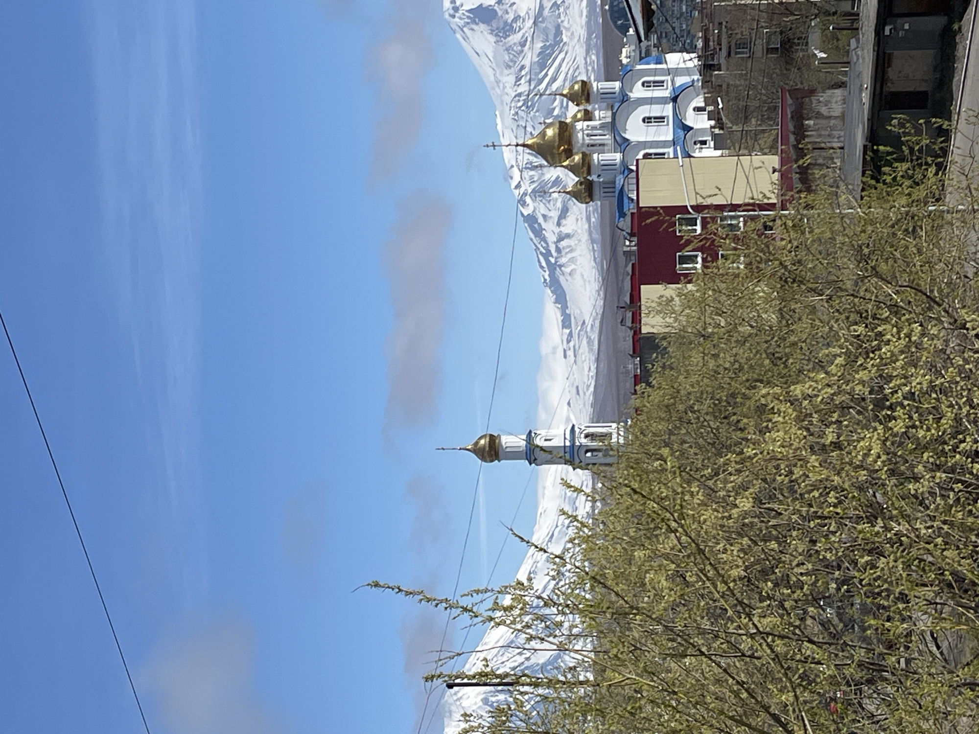 The image shows a cityscape in Petropavlovsk-Kamchatsky, Russia. In the foreground, there are bare branches of a tree beginning to bud. Behind the trees, there is a Russian Orthodox church with a white facade, blue accents, and golden onion domes. Behind the church, there is a snow-capped mountain range. To the left of the church, there is a tower with a golden dome. The sky is blue with some clouds. High-rise buildings are also visible. An electrical wire runs through the left side of the image.