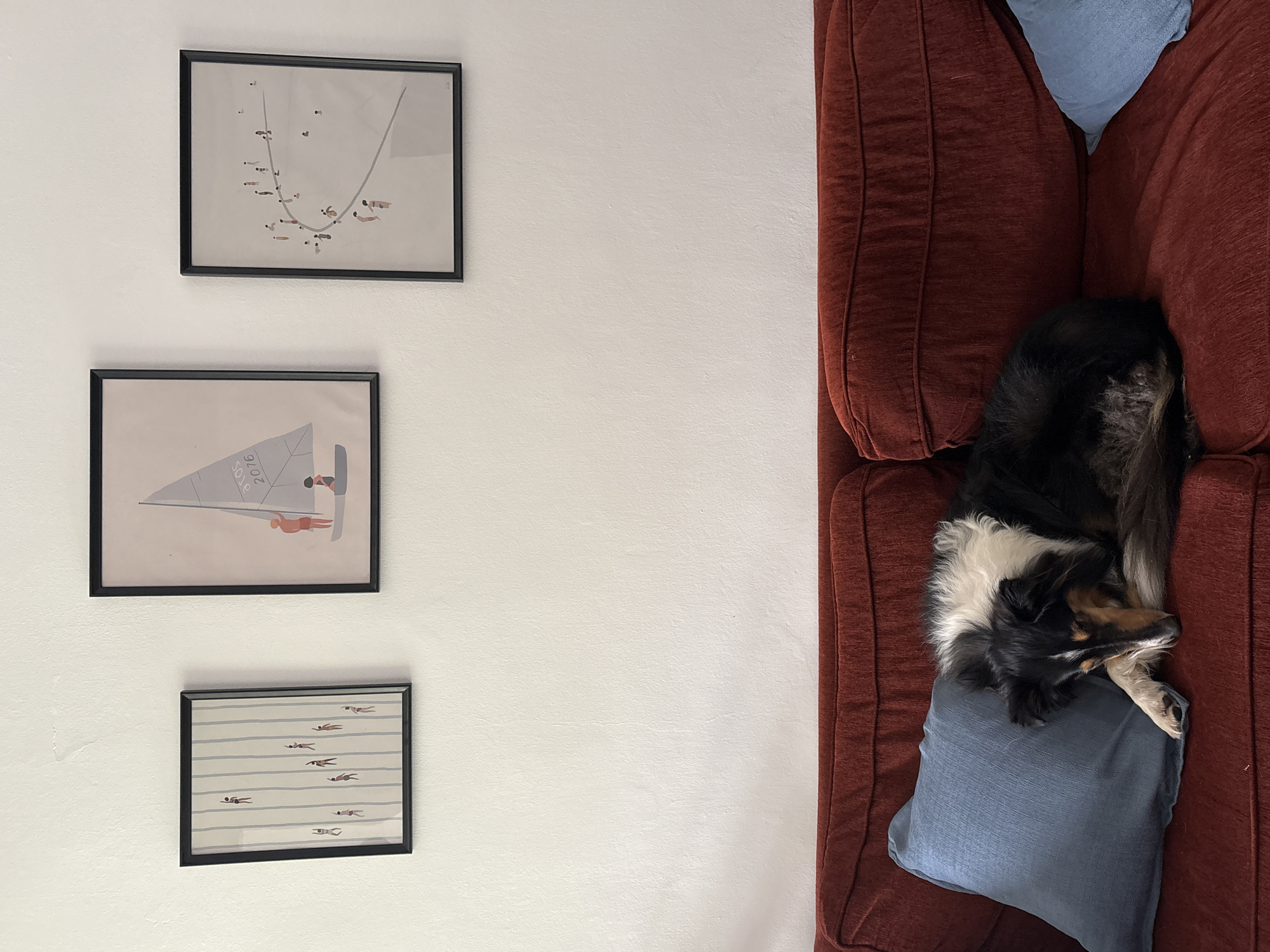A high-angle indoor shot shows three framed pictures hanging vertically on a white wall to the left and part of a red sofa with a dog lying on a blue pillow to the right. The top picture shows a series of connected dots and stick figures. The middle picture shows a sailboat with stick figures on it. The bottom picture shows stick figures swimming in horizontal lines. The dog is black, white, and brown and is curled up on the blue pillow. There is no information available to determine if this image was taken in Ramat Gan, Israel.