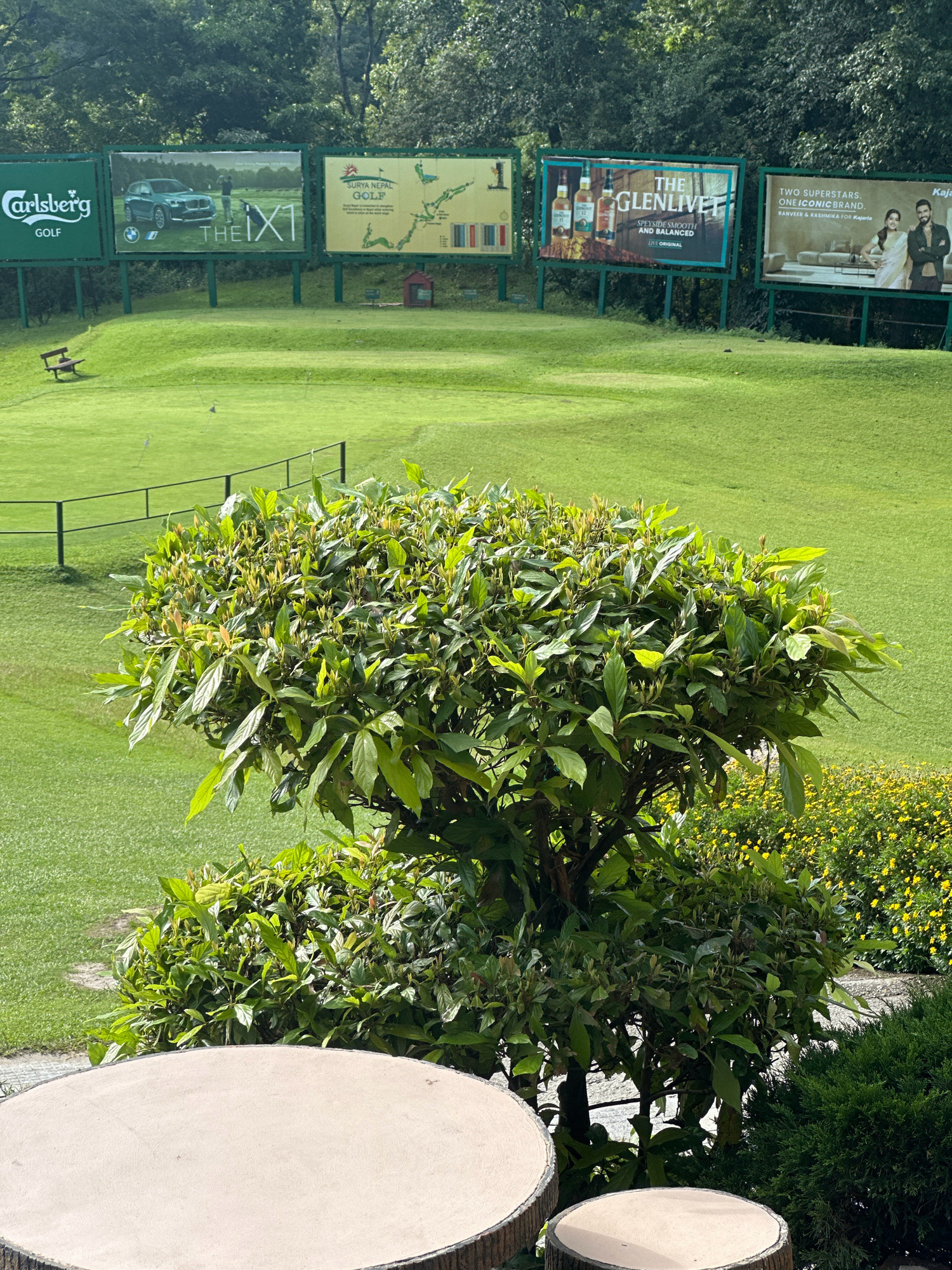 This image depicts an outdoor scene at a golf course, likely located in Kageshwori Manohara, Nepal, based on the presence of several large billboards advertising various brands, including Carlsberg Golf, BMW The X1, The Glenlivet, and Kajaria. The golf course features lush green grass, rolling hills, and a few scattered trees. In the foreground, a manicured shrub dominates the frame, with a wooden table and two stool-like seats also visible. A black metal fence runs along the middle ground of the golf course, separating it from the foreground. The background is filled with dense foliage from a forest. No people are clearly visible in the image, but a bench is present on one of the grassy slopes. The sky is overcast, suggesting it might be a cloudy day.