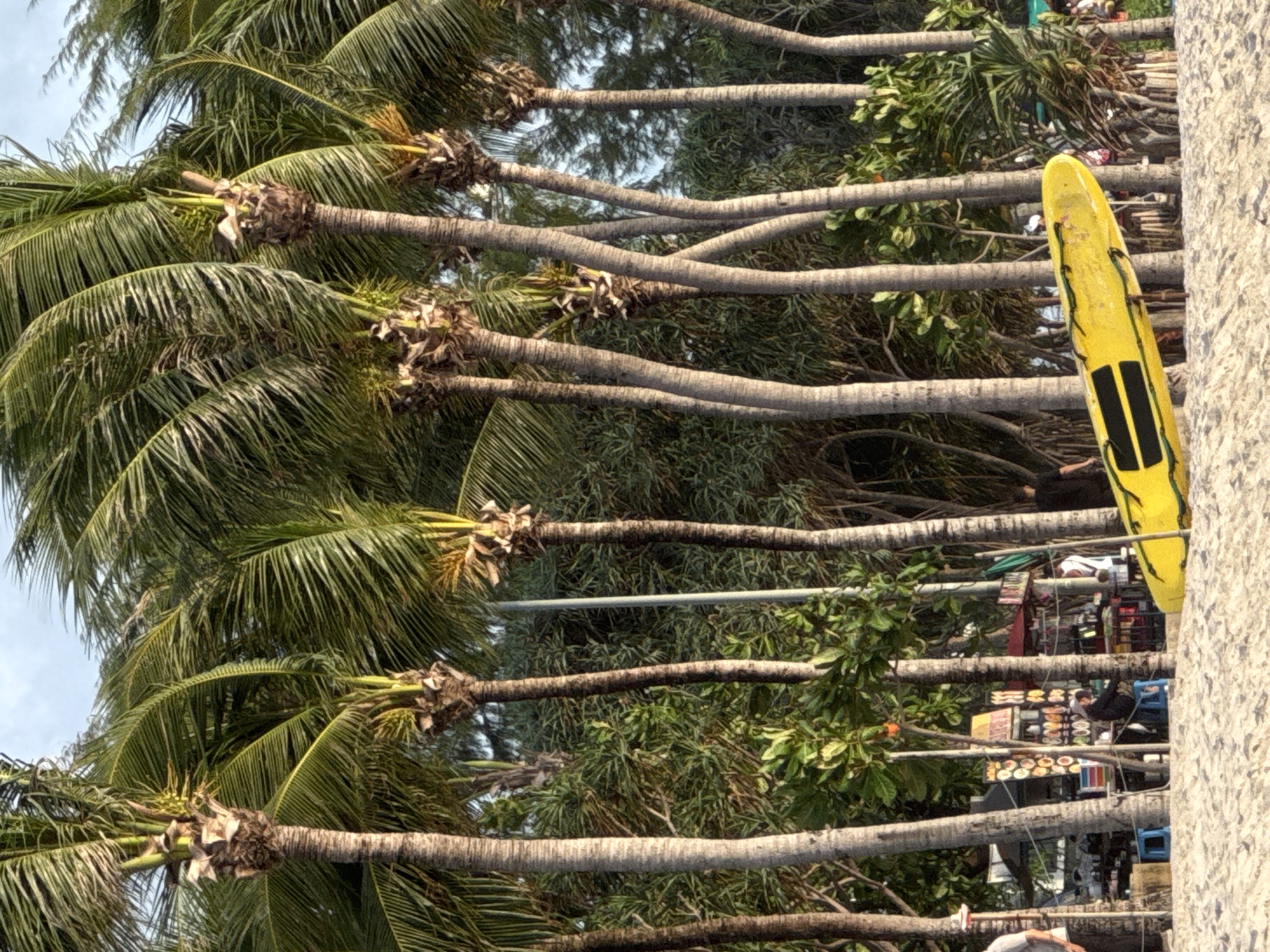 In Patong, Thailand, a yellow surfboard lies on the sandy beach in the foreground, with a line of palm trees behind it. The palm trees are tall and slender with green fronds. Behind the palm trees, there is a dense green forest. In the distance, there are some small stalls or shops. The sky is partly cloudy and light. The overall scene is a tropical beach setting.
