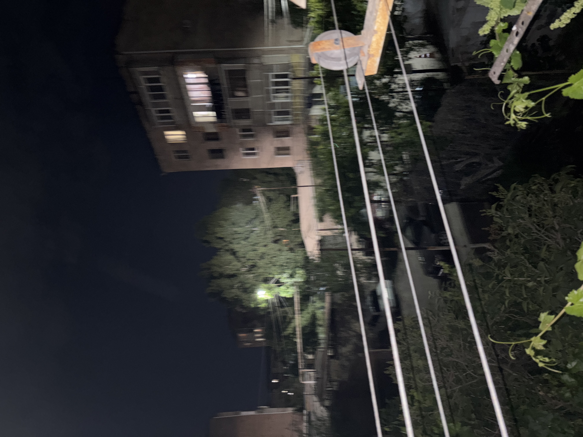 The image, oriented horizontally, depicts a nocturnal outdoor scene, likely viewed from a window or balcony. In the foreground and midground on the right, several parallel white clotheslines stretch across the frame, originating from a visible wooden support structure with a grey pulley. Green foliage, possibly vines with small leaves and tendrils, hangs into the top right corner, partially obscuring the clotheslines.
On the left side of the frame, a multi-story residential building stands, featuring numerous windows. Several windows on the upper floors are illuminated, suggesting occupancy and activity within the building. Behind the clotheslines and below the building, a cluster of dense trees is visible, with some areas faintly lit by what appears to be a distant streetlamp or other artificial light source. The overall lighting indicates that it is nighttime, with a dark, clear sky visible in the upper left.
The scene captures a quiet, everyday moment in an urban or suburban setting. The presence of clotheslines suggests domestic life, but no specific human activity is directly depicted. The architecture of the building and the setup of the clotheslines offer subtle location cues, common in residential areas in regions like Vagharshapat, Armenia. There is no visible text in the image.