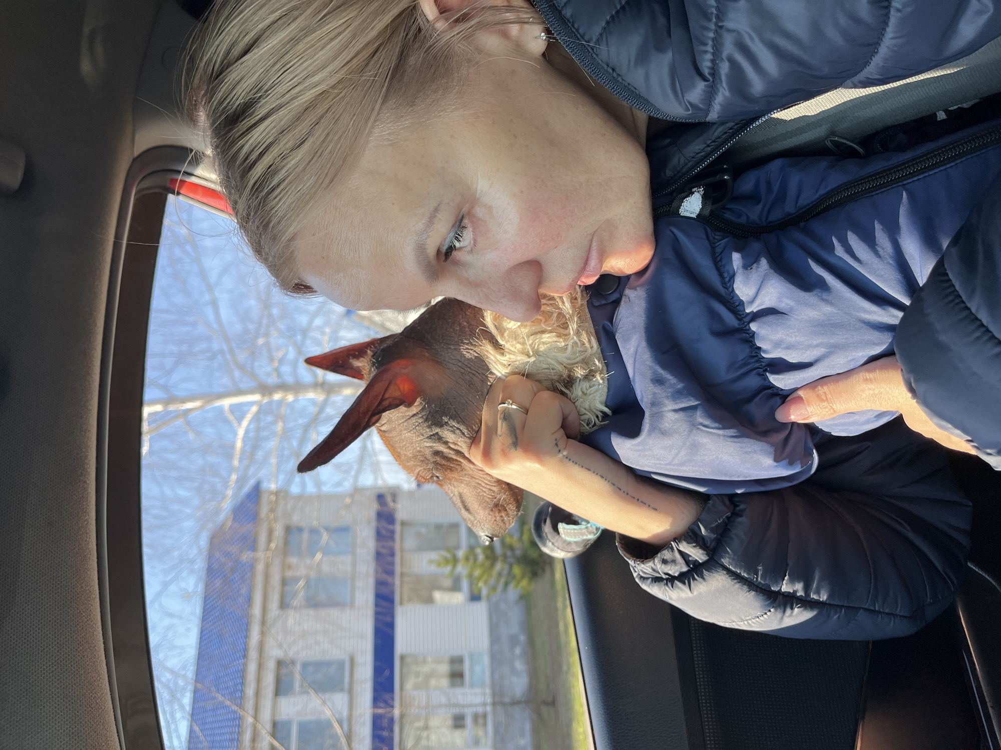 A blonde woman is holding a brown Doberman Pinscher dog in her arms while sitting in a car. The woman is fair-skinned with short, light blonde hair and is wearing a dark blue, quilted jacket. She is looking down at the dog, who is nestled close to her chest. The dog is dark brown with cropped ears. The woman has tattoos on her left hand and arm. Outside the car window is a building with blue and white vertical stripes. Bare tree branches are visible in front of the building. The sky is blue and sunny. Based on the appearance of the building and the surroundings, the location is likely in a residential area. The setting is in Chaikovsky, Russia.