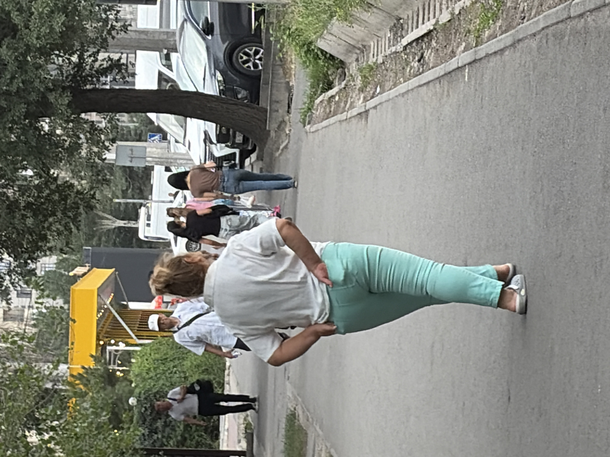 A woman, seen from behind, walks on a sidewalk. She is wearing a white short-sleeved shirt and bright turquoise pants. Her left hand is in her back pocket and her right hand is resting on her hip. She is wearing white slip-on shoes.
Behind her, other pedestrians are walking. To the left, a man in a white shirt and black pants carries a black bag. Further back, a person in a white shirt and hat walks. To the right of the main subject, two women are walking away. One wears a black top and light-colored pants, while the other wears a brown t-shirt and blue jeans.
A tree with dark bark and green leaves stands on the right side of the frame, near the sidewalk. Cars are parked along the street on the right. A dark grey SUV is visible, along with parts of other vehicles. In the background, there are buildings and a yellow structure with lights. A drainage ditch runs alongside the sidewalk on the right. The overall scene depicts a casual daytime street environment.