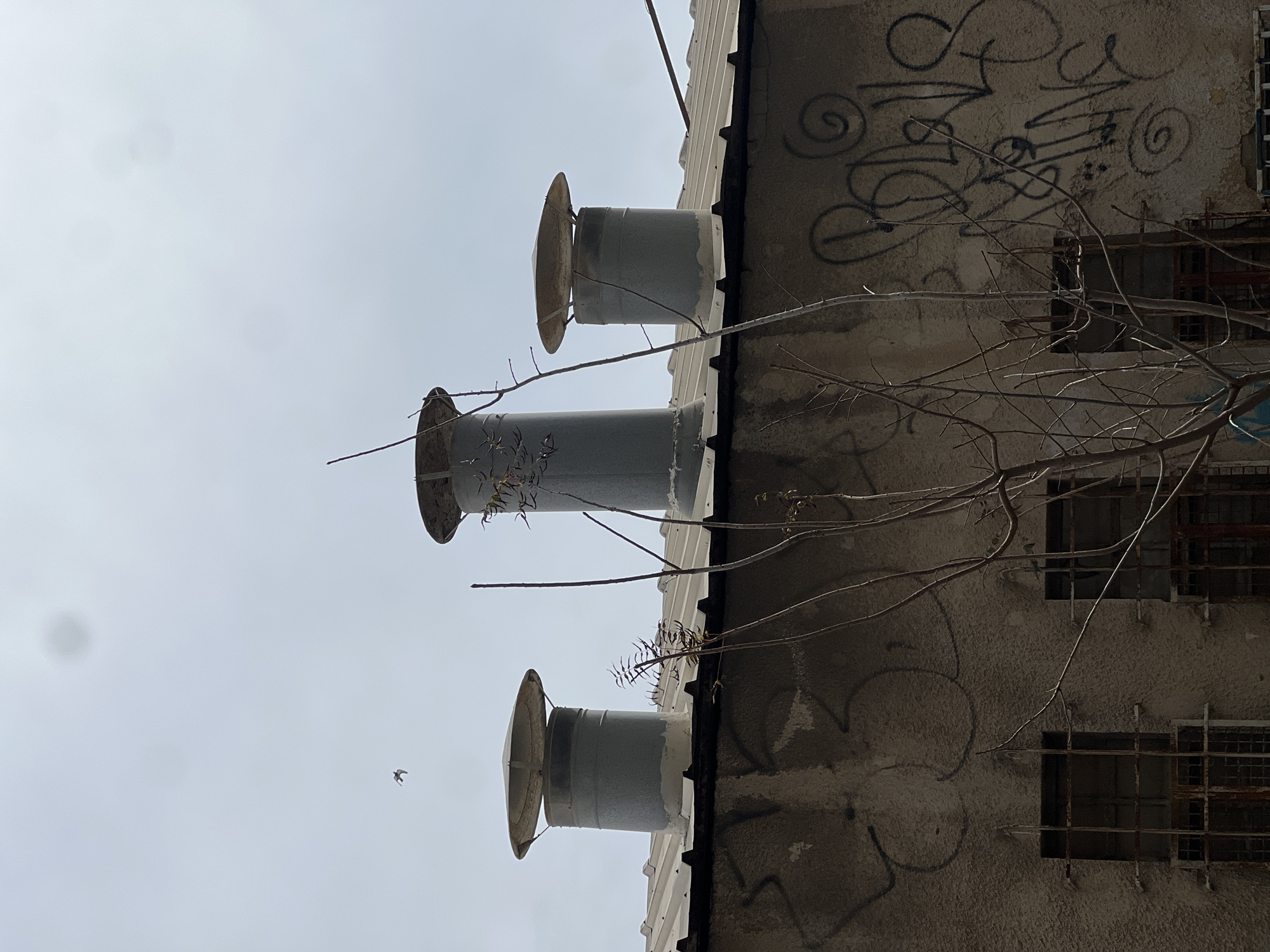 The image depicts the upper portion of a weathered building against an overcast sky in what is identified as Tel-Aviv, Israel. Three cylindrical galvanized metal vents with conical caps are present on a corrugated metal roof, angled from left to right. The central vent appears slightly taller and wider, with minor debris lodged near its cap. Below the roofline, the building features a rough-textured, light brown-grey concrete or stucco wall extensively covered with black spray-painted graffiti, primarily stylized lettering and swirling patterns. Two rectangular window openings, each secured with heavily rusted, dark metal security grates, are visible on the wall. A bare, deciduous tree or shrub with numerous thin, dark branches partially obstructs the lower portion of the wall and extends upward towards the roof. In the upper left quadrant of the light grey, cloud-laden sky, a single bird is captured in flight. Circular lens smudges are visible in the upper central and left areas of the sky. No people are present.