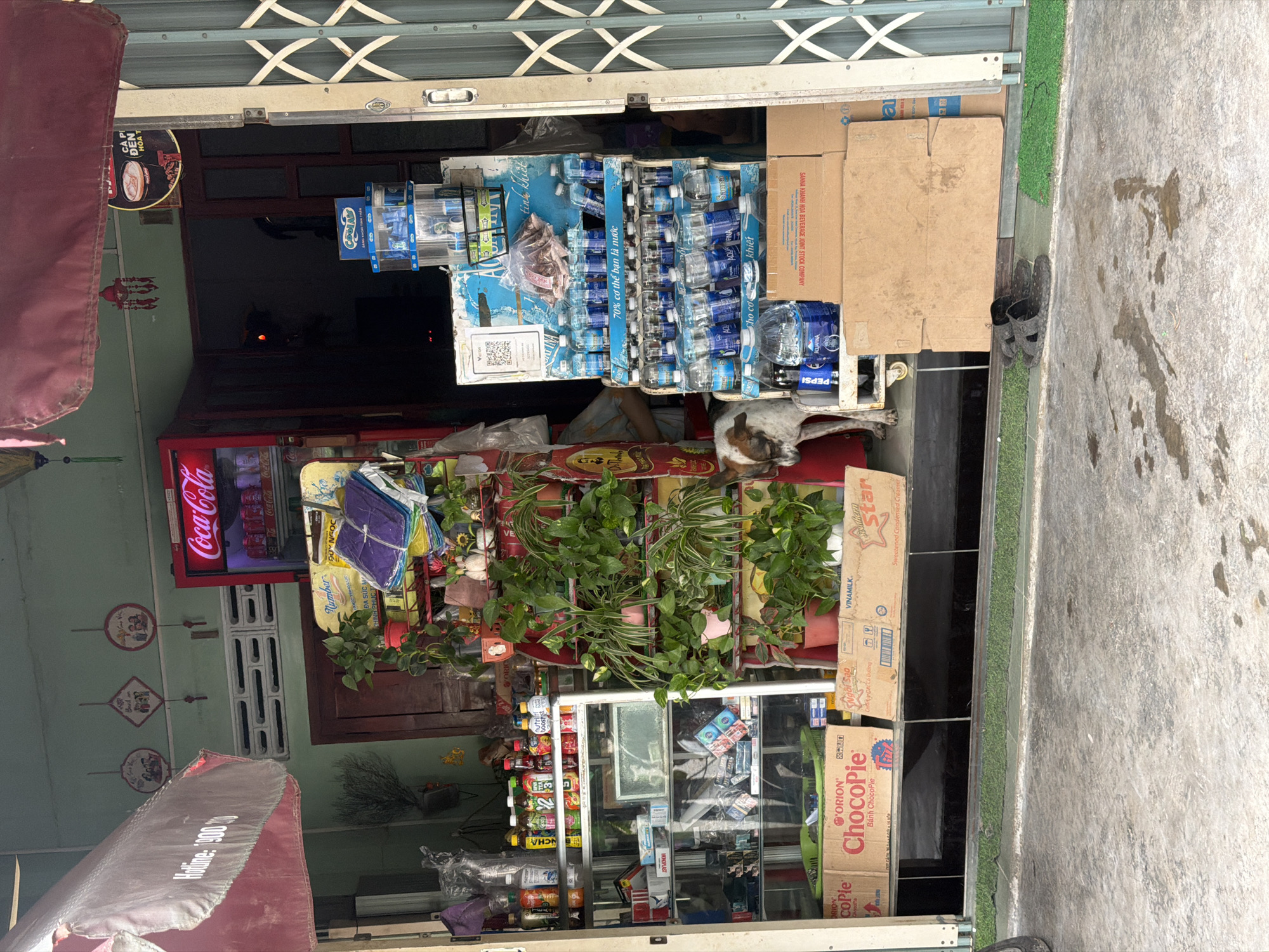 This image depicts the entrance of a small shop in Nha Trang, Vietnam, with a focus on the street-facing display of goods. The shop features a red awning on the left, partially obscuring a sign with Vietnamese text and the number "900." A red Coca-Cola refrigerator is visible to the right of the awning, stocked with cans. In front of the shop, a multi-tiered display rack is filled with various bottled beverages, primarily water, and other products like kite-like items and plants in pots. A dog with brown and white fur stands near the display rack, facing left. To the right of the display, several cardboard boxes are stacked. The ground in front of the shop is paved and shows signs of recent moisture. A pair of black sandals rests on the ground in the foreground. The overall scene suggests a typical street vendor or small convenience store operation.