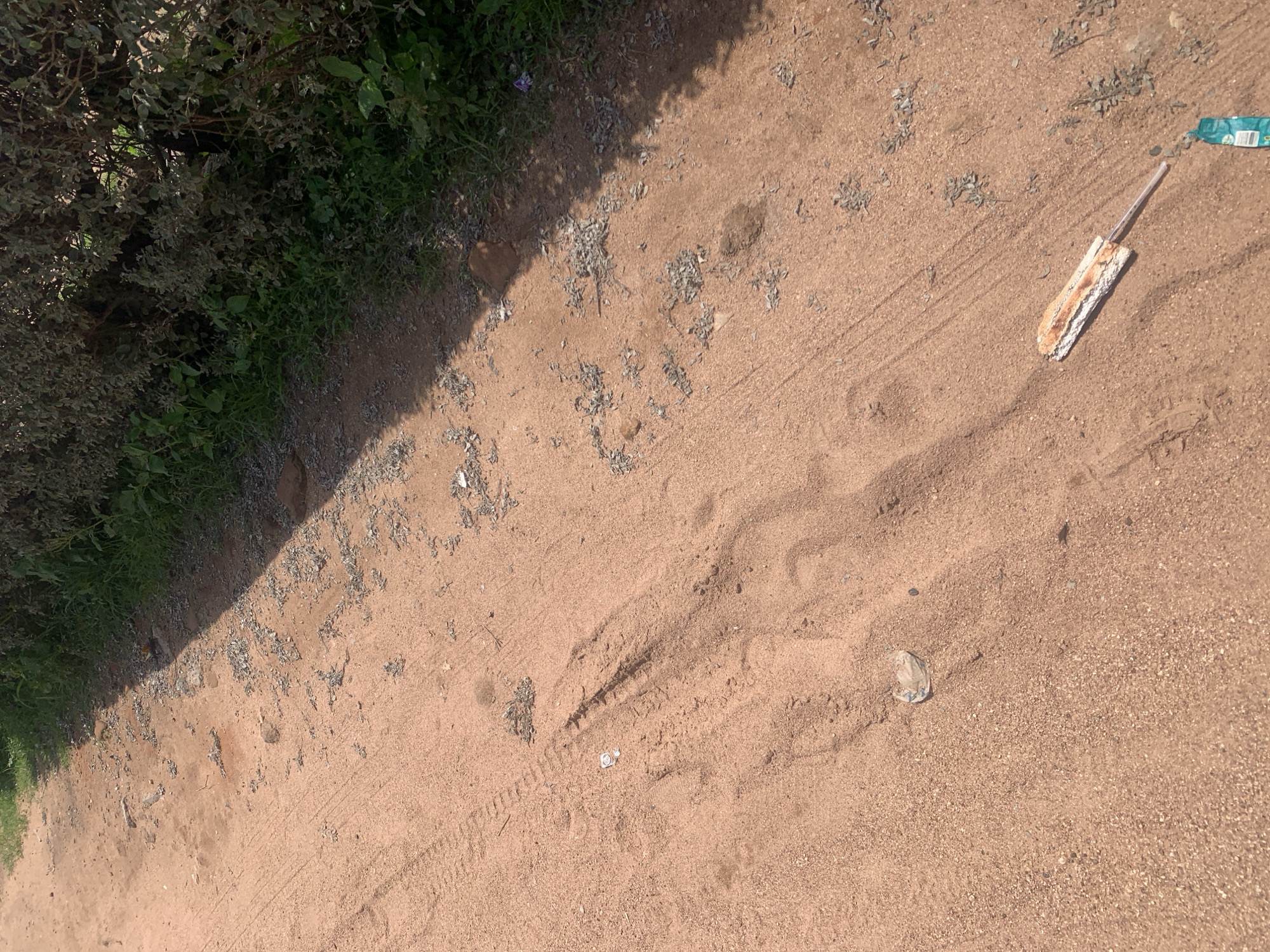 The image shows a reddish-brown dirt road in Jauro Yinu, Nigeria. The road is partially covered with small pebbles and dry leaves. Tire tracks are visible in the sand, suggesting recent vehicle activity. To the right of the road, there is a dense hedge of green foliage, casting a shadow across the road. In the foreground, a discarded object resembling a worn-out cleaning tool with a wooden handle lies on the ground. Next to it, a partially visible blue and white plastic container is also on the road. The overall scene depicts a rural or semi-rural environment with evidence of human presence through the discarded items and tire tracks.
